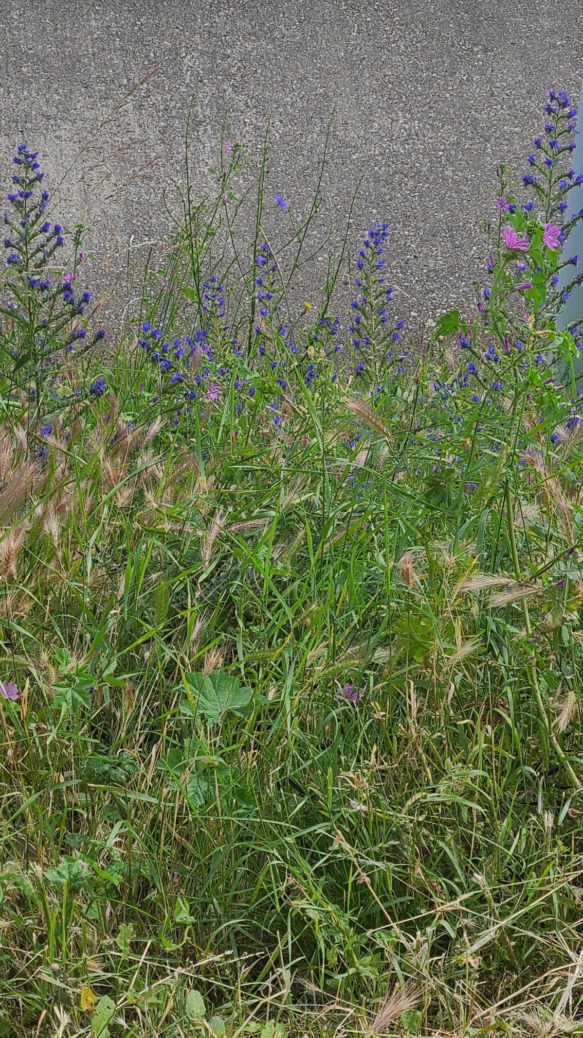 354433958_744802014316832_8302820147815041926_n