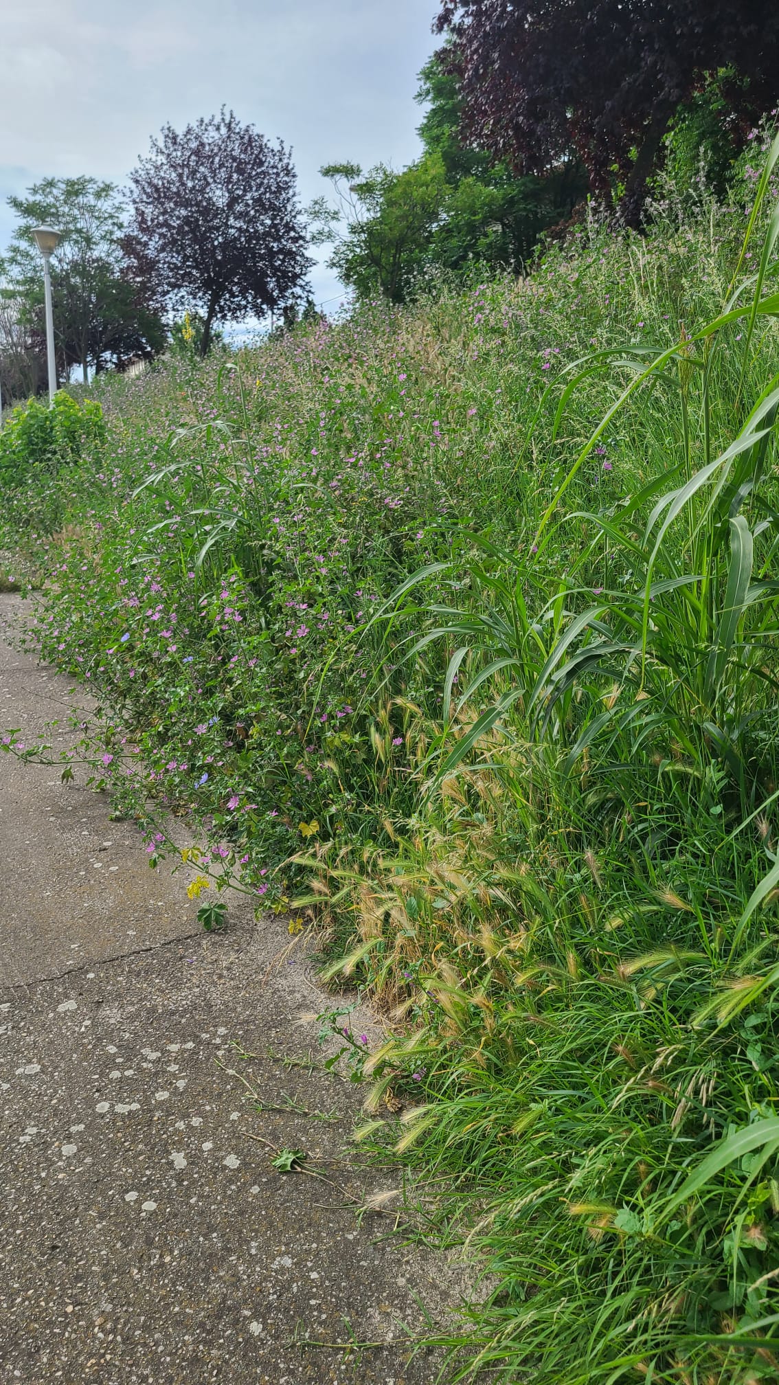 354437924_744802107650156_4456732049920858545_n