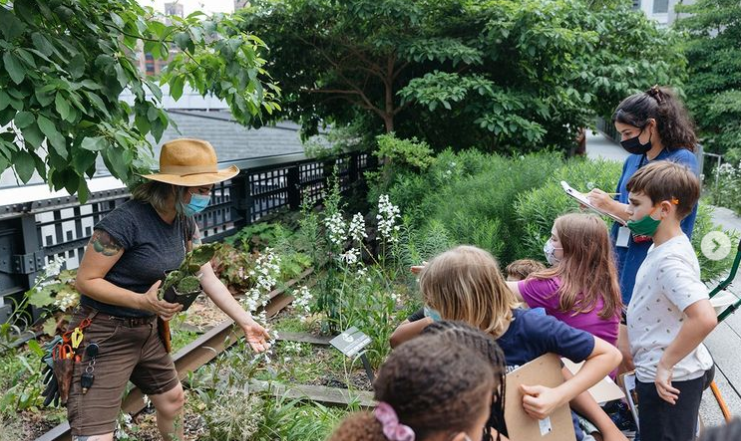 A wildlige garden in New York City. Instragram highlinenyc