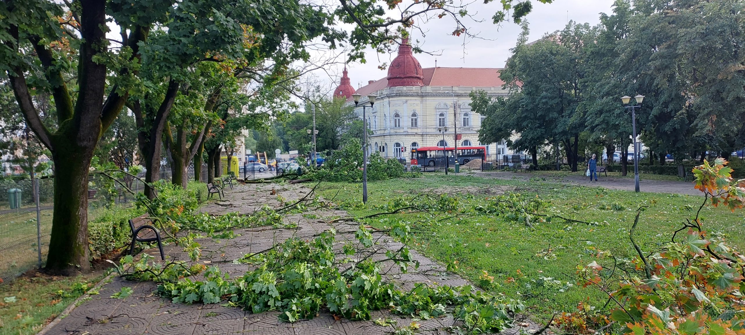 FOTO: Pagubele furtunii în Parcul 1 Decembrie, 26.07.2023