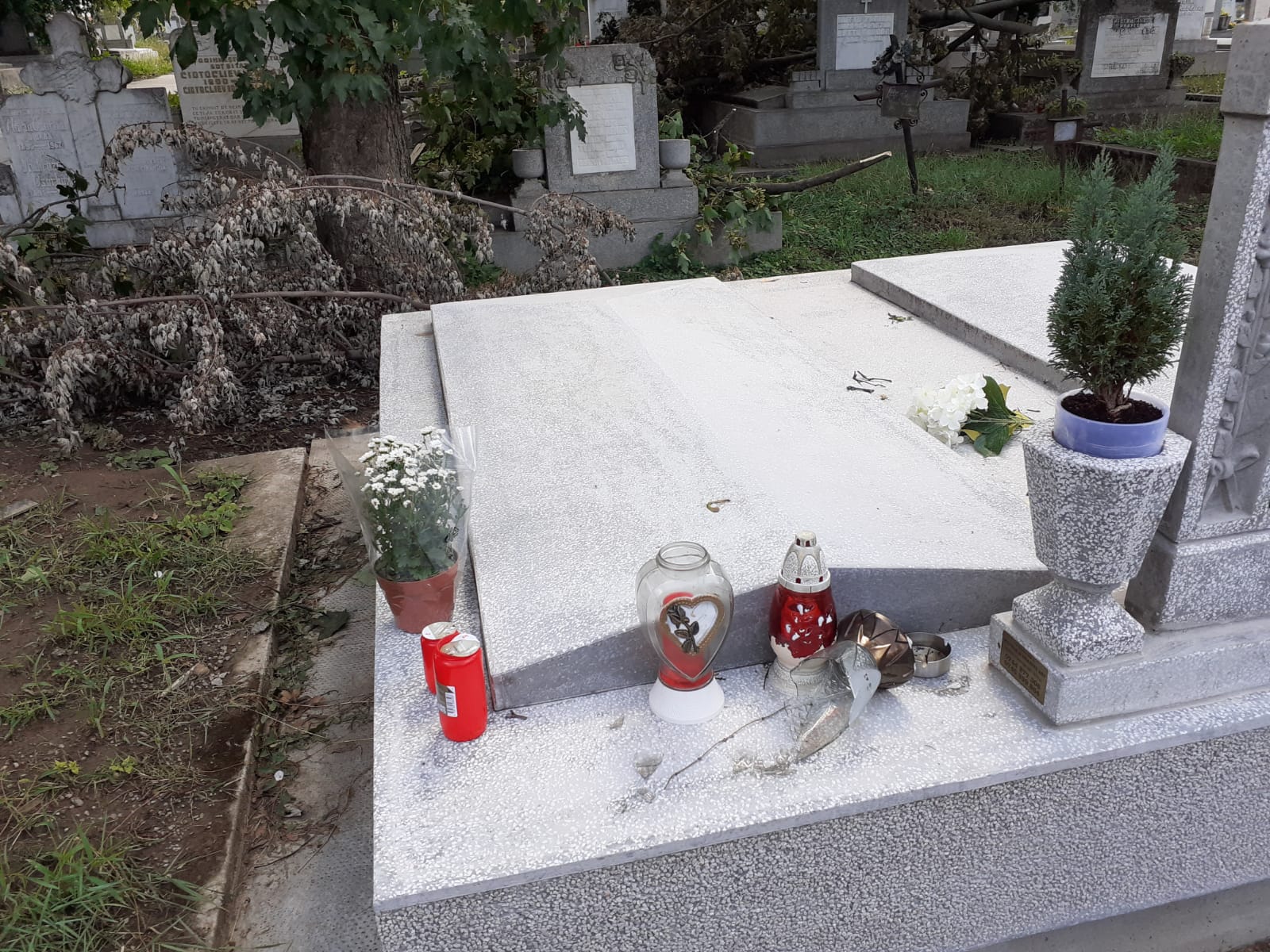 WhatsApp Image 2023-07-27 at 14.00.04