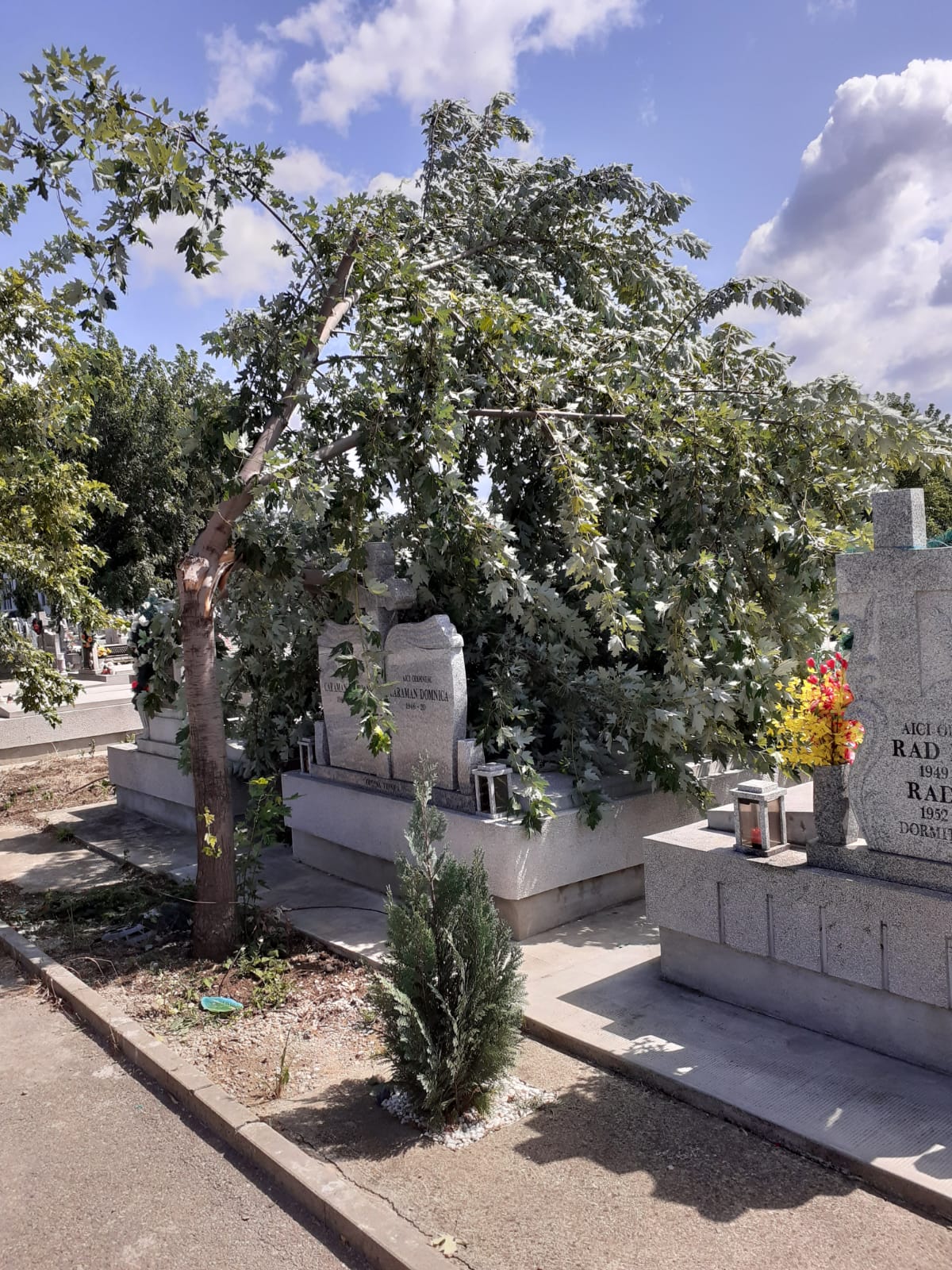 WhatsApp Image 2023-07-27 at 14.00.05 (4)