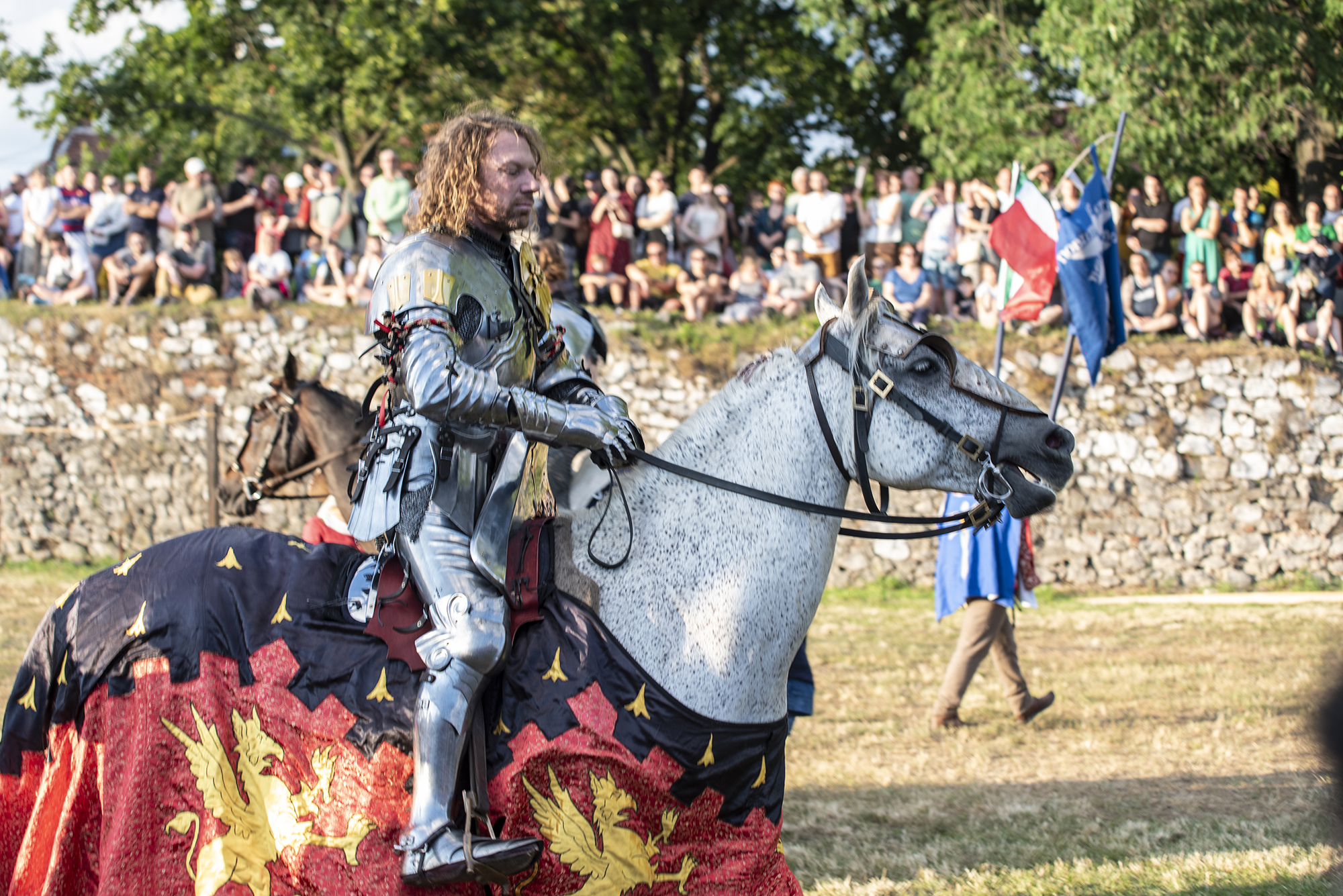cavaleri oradea festival turnir (64)