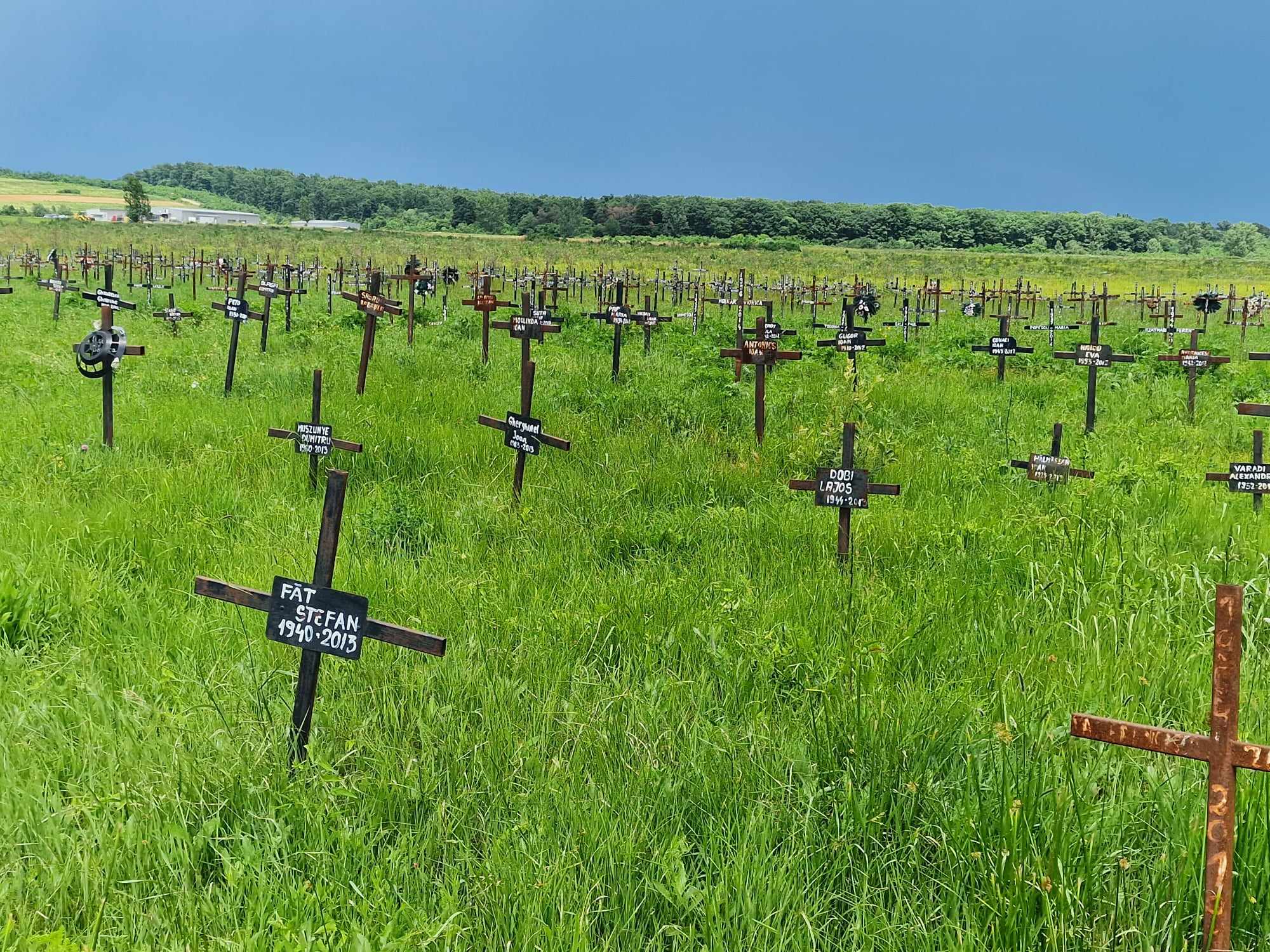 356605603_833347221735528_3060852602344923188_n