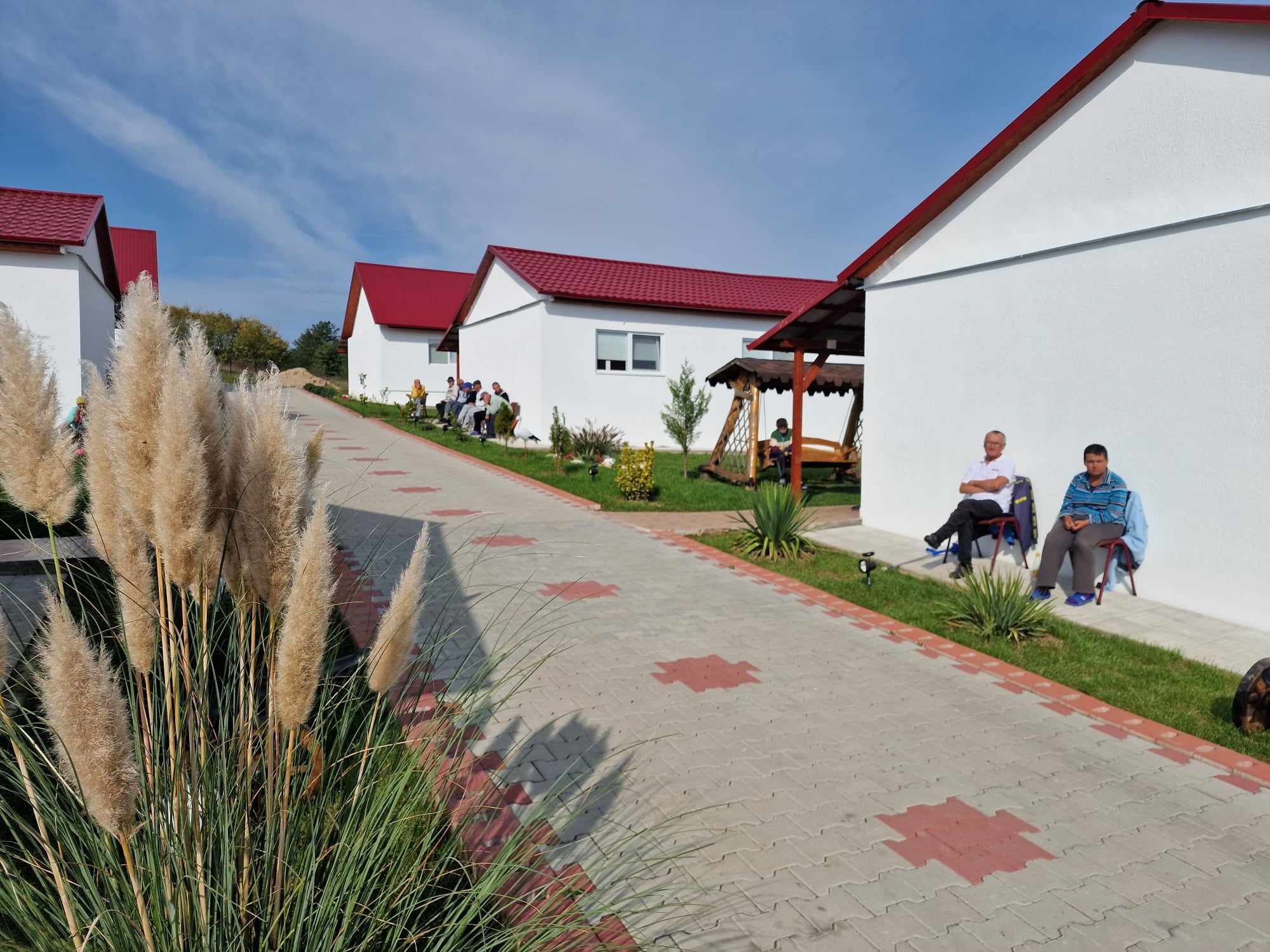 356609106_233027519687724_8822212750744464087_n