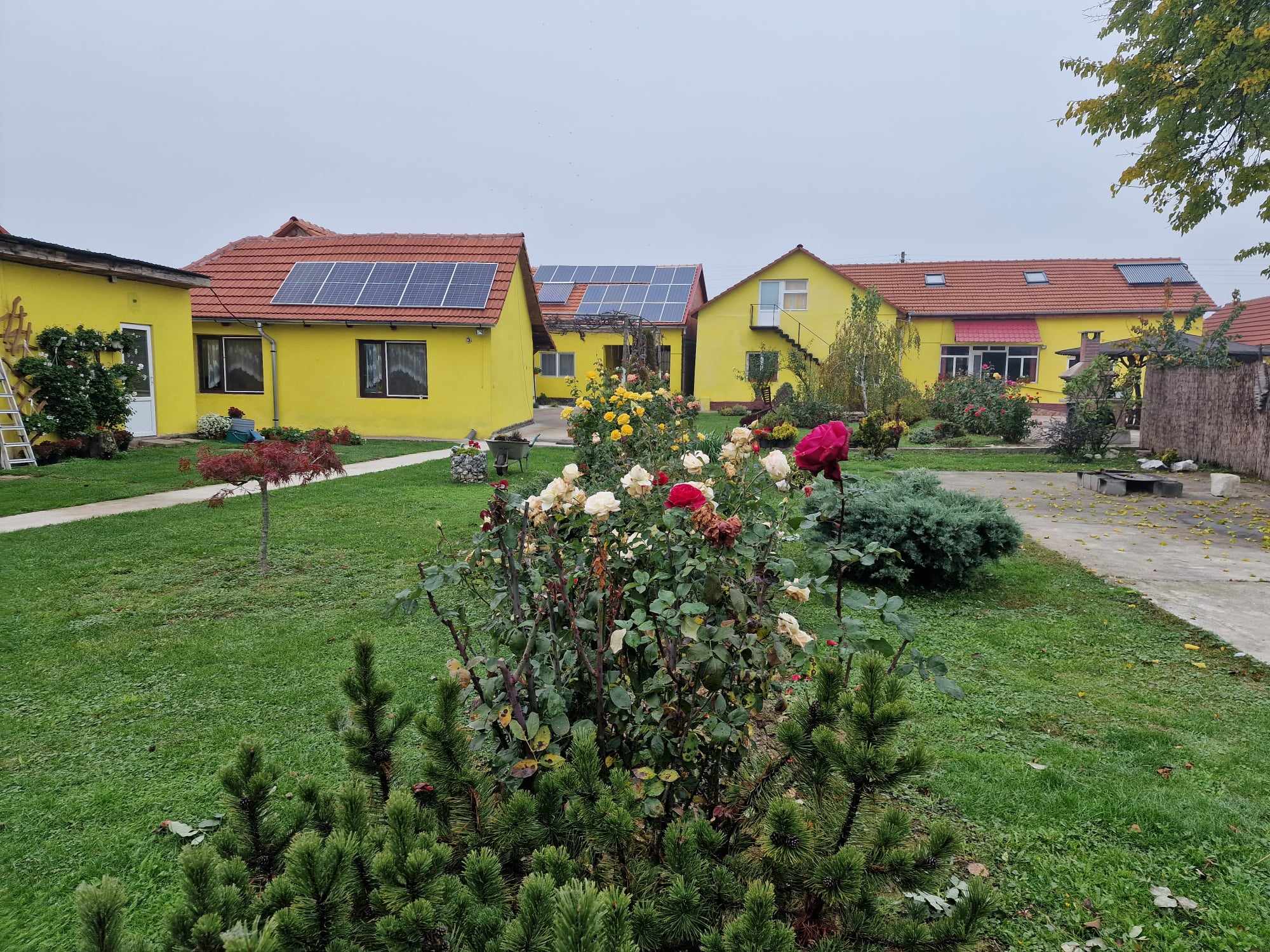 356644227_2919012178254057_9034023135679935388_n