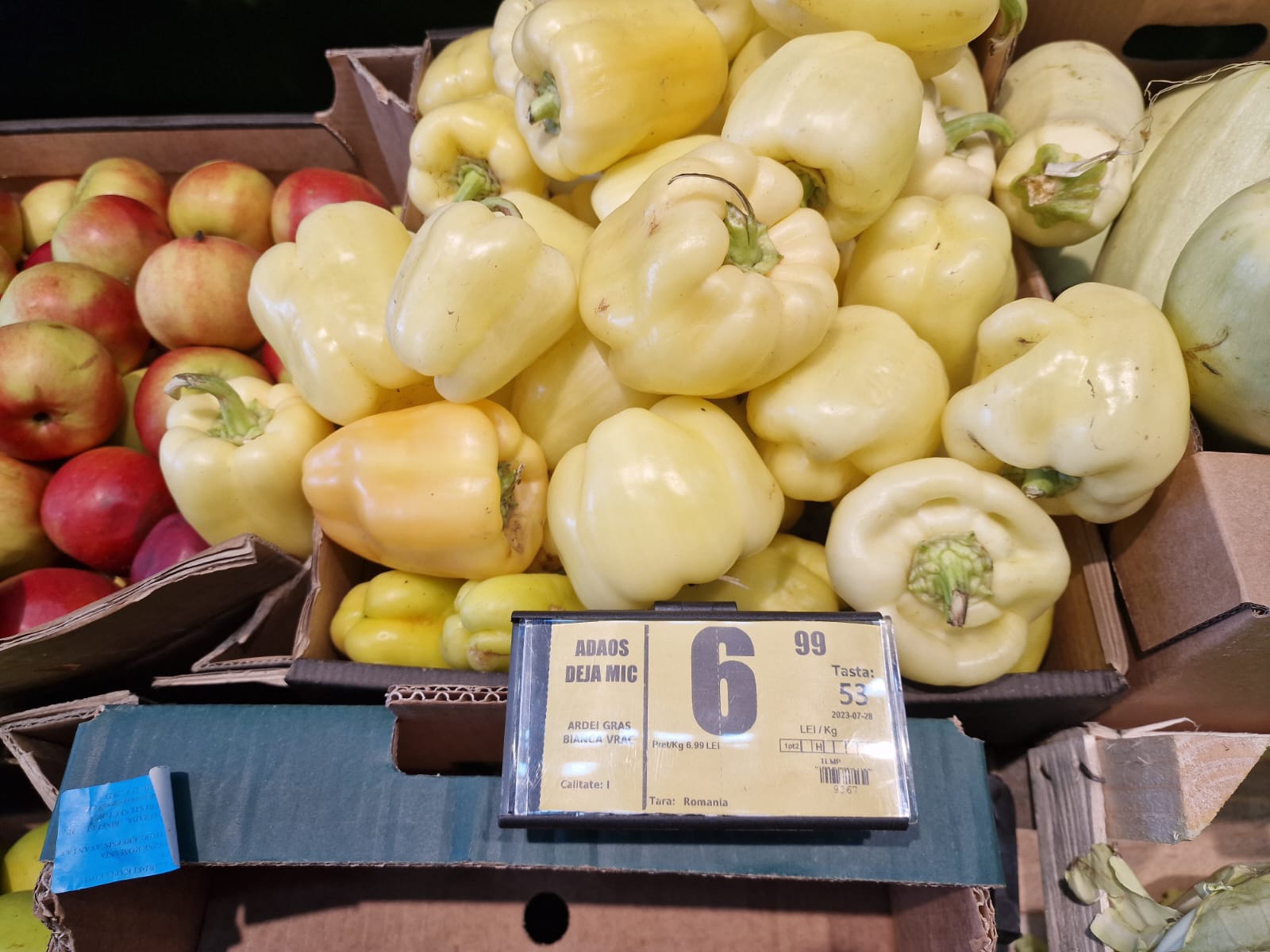 WhatsApp Image 2023-08-01 at 10.15.54 (2)