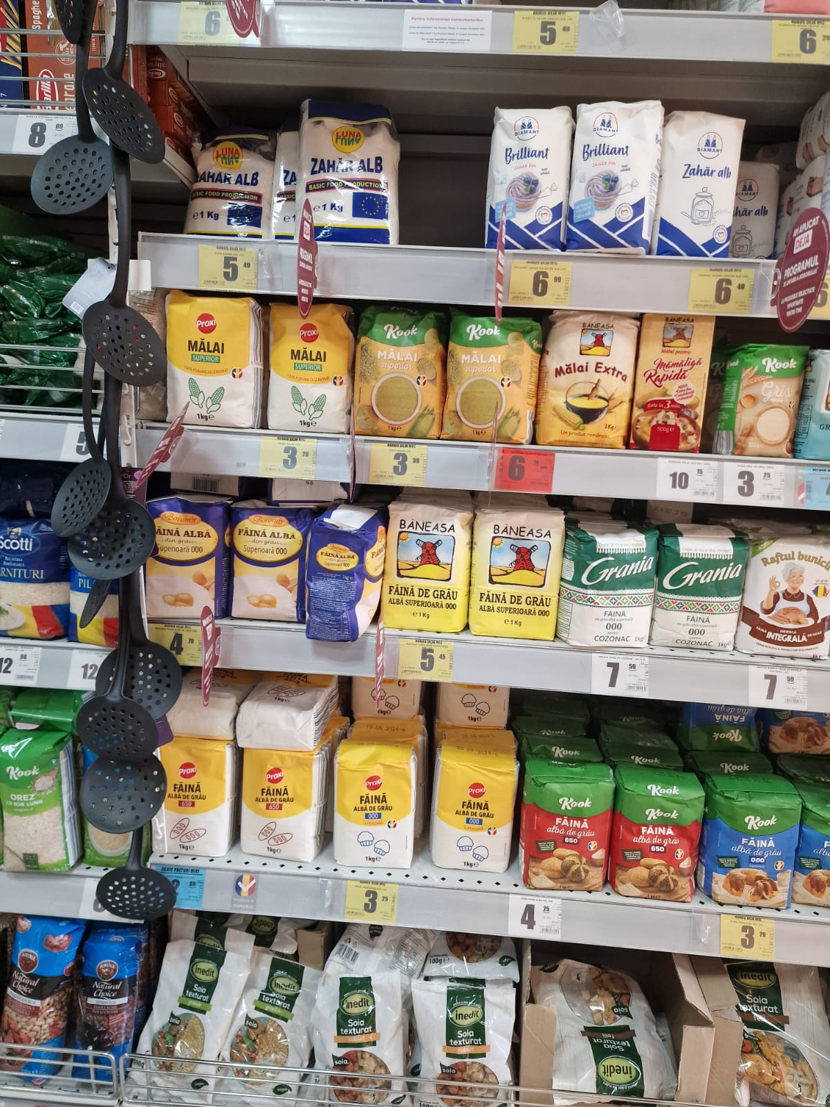 WhatsApp Image 2023-08-01 at 10.15.54