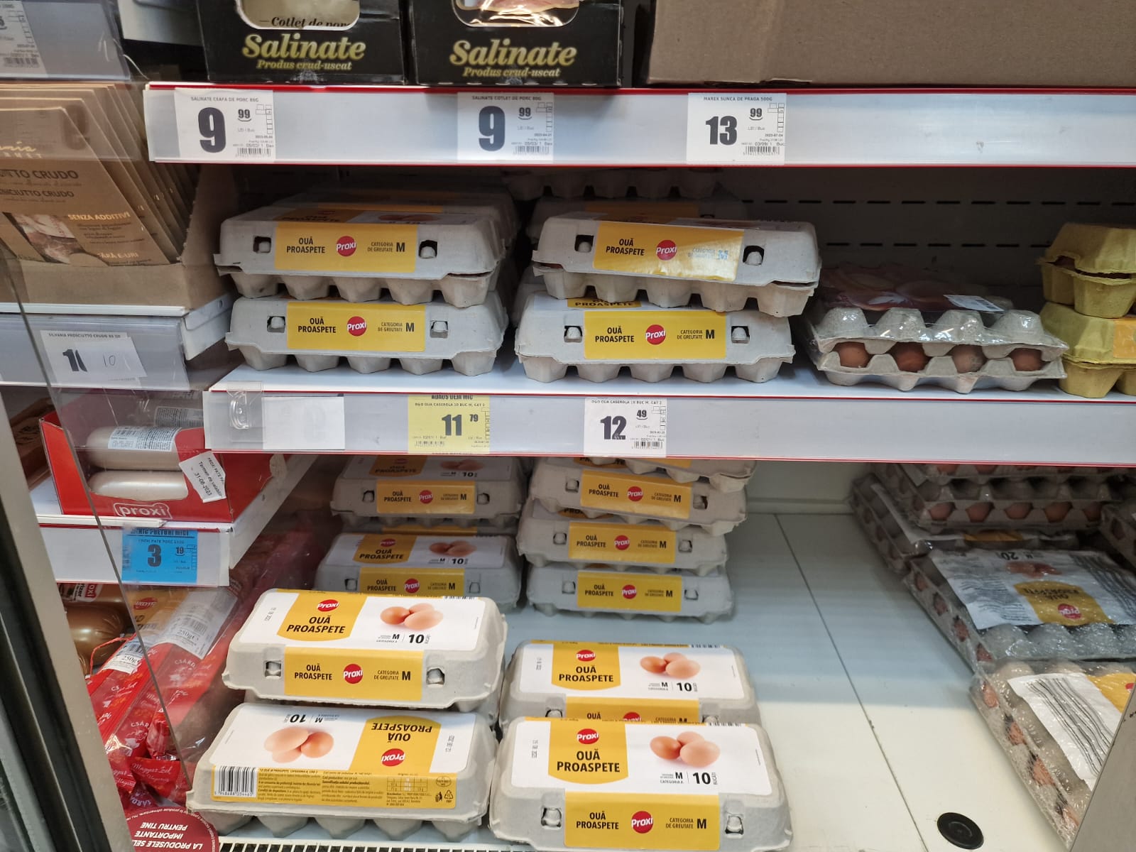 WhatsApp Image 2023-08-01 at 10.15.54 (3)