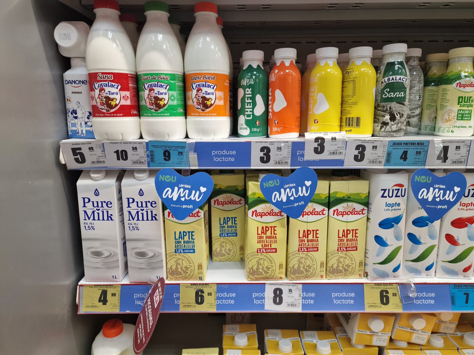 WhatsApp Image 2023-08-01 at 10.15.55