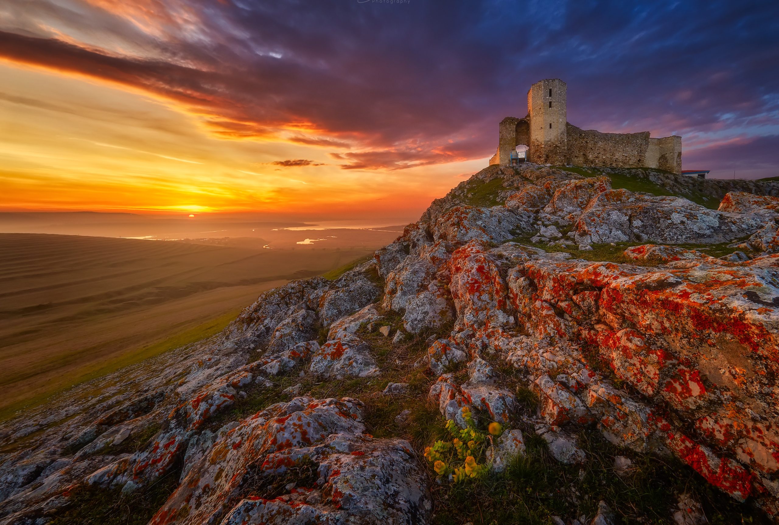 Foto Alexandru Brigilă (1)