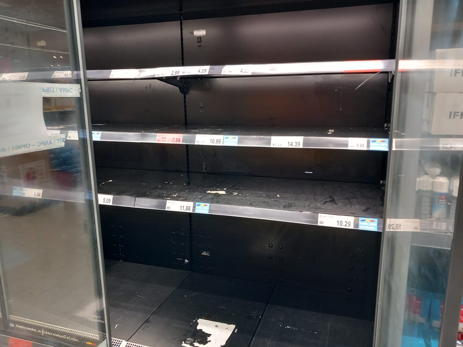 WhatsApp Image 2023-08-29 at 13.41.46