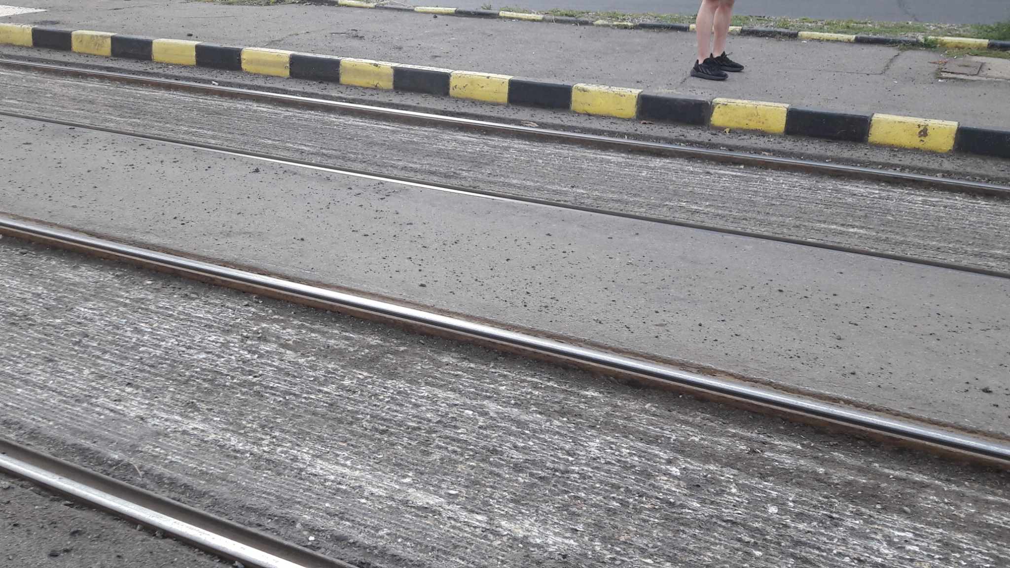 384539211_1312110056086696_1554942311543540862_n