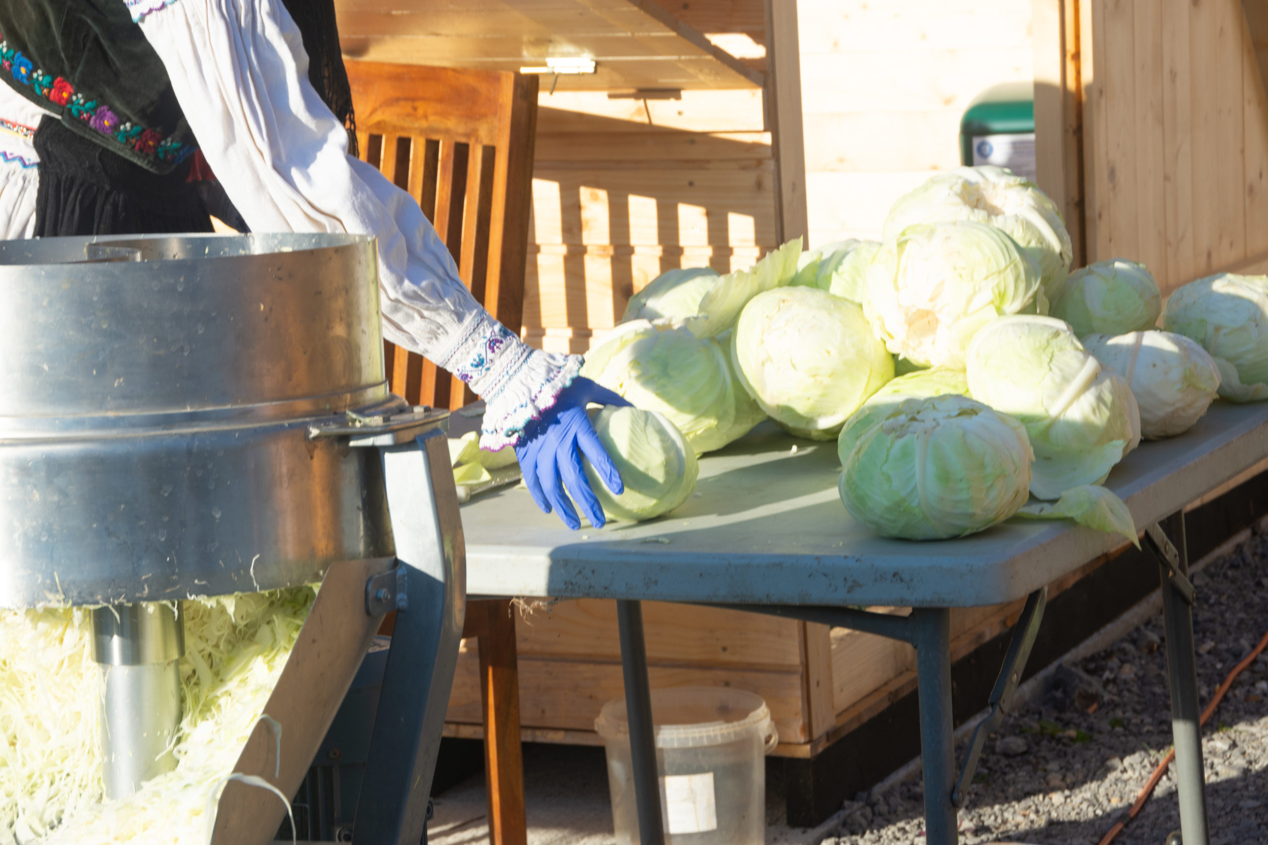 cosul-cu-legume-de-le-dobresti-8561