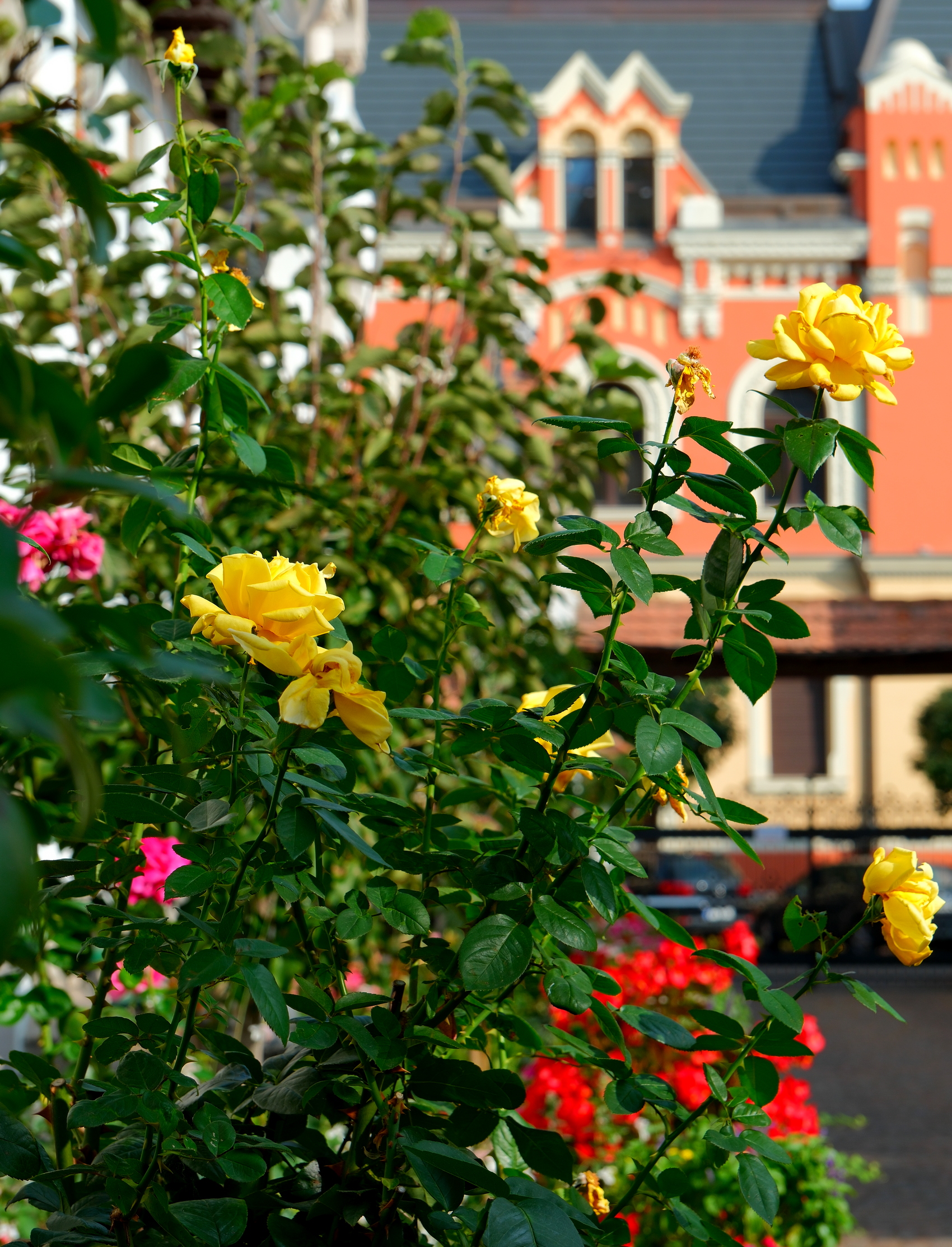 FOTO: Palatul Episcopal Greco-Catolic FOTO: Alexandru Nițescu
