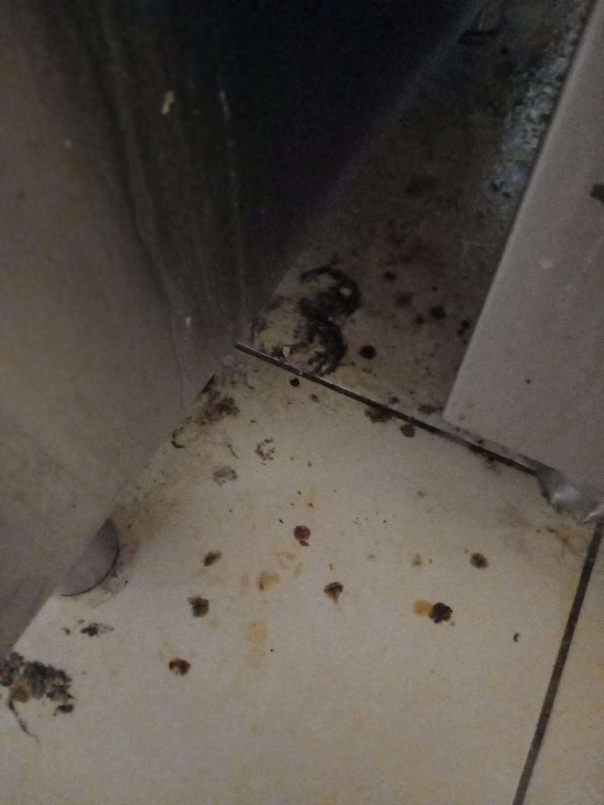 WhatsApp Image 2023-10-27 at 14.46.57