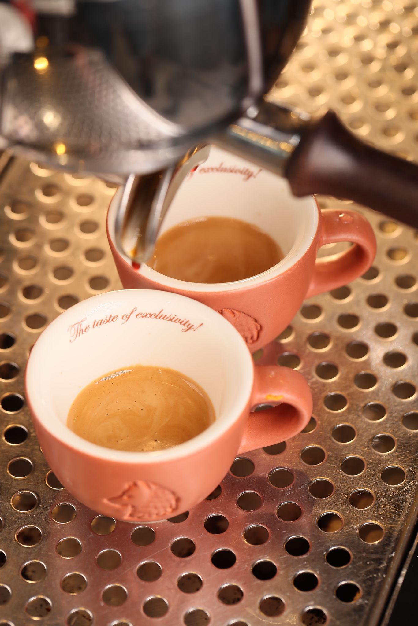 WhatsApp Image 2023-10-27 at 14.43.21