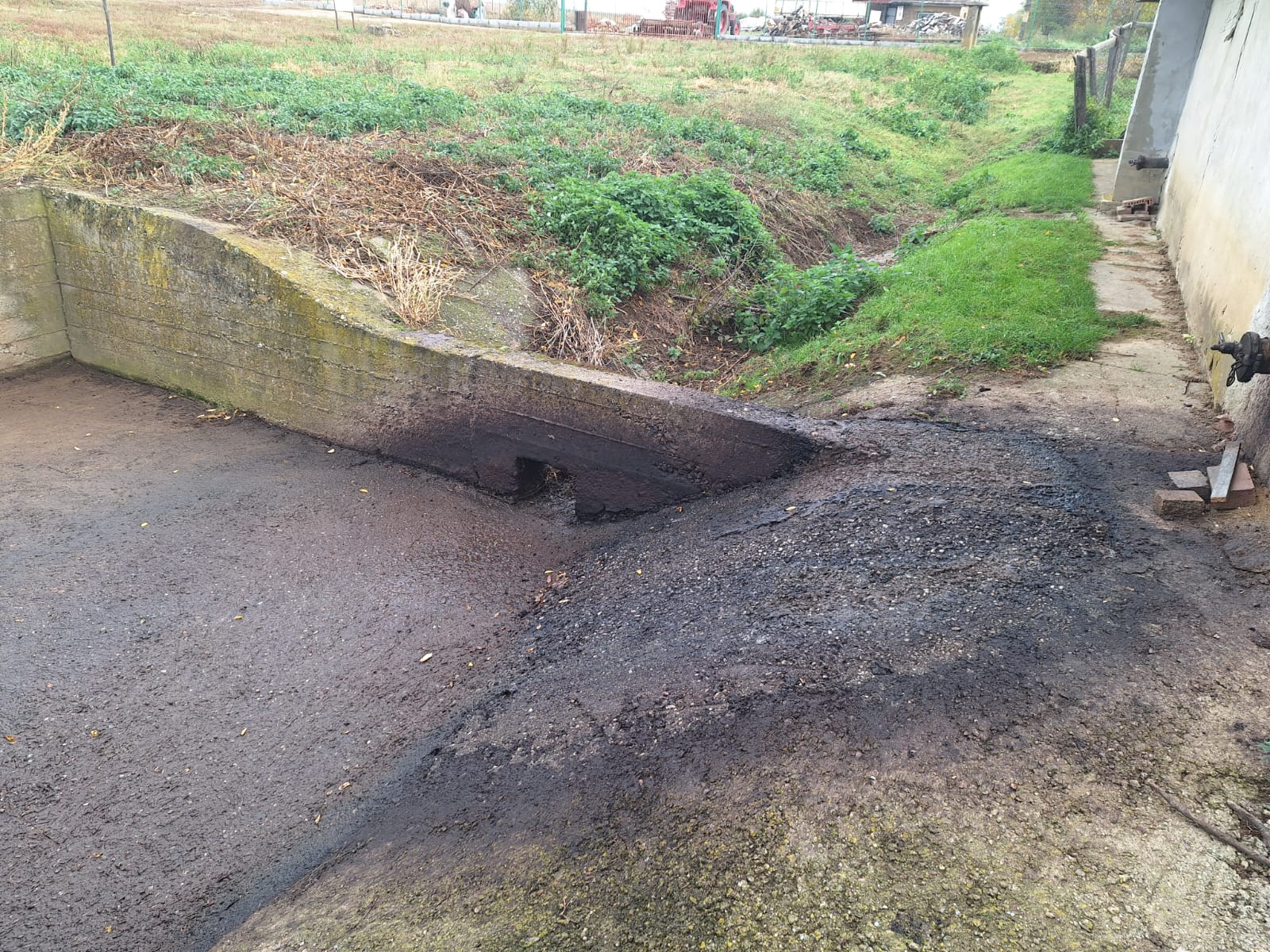 WhatsApp Image 2023-10-31 at 14.59.34