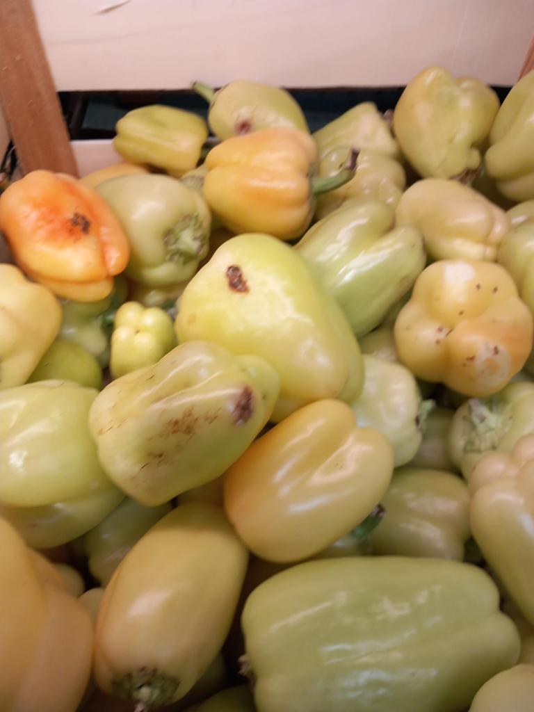 534321f9-9c70-496a-8984-565974b842ee