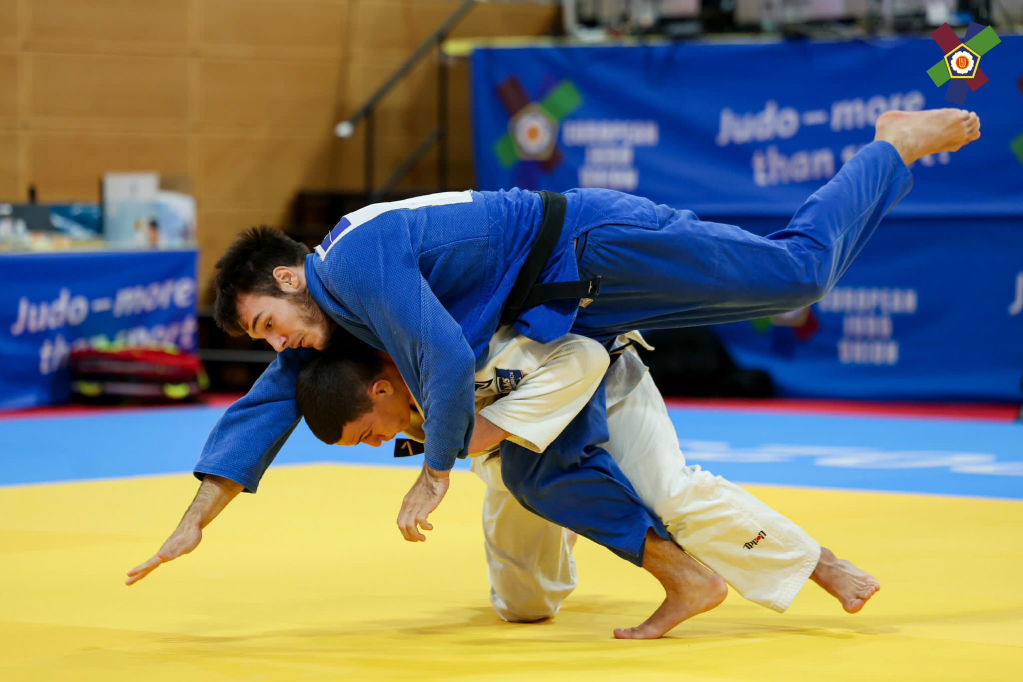 judo (3)