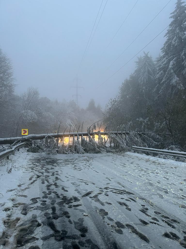 WhatsApp Image 2023-11-20 at 11.39.35 (1)