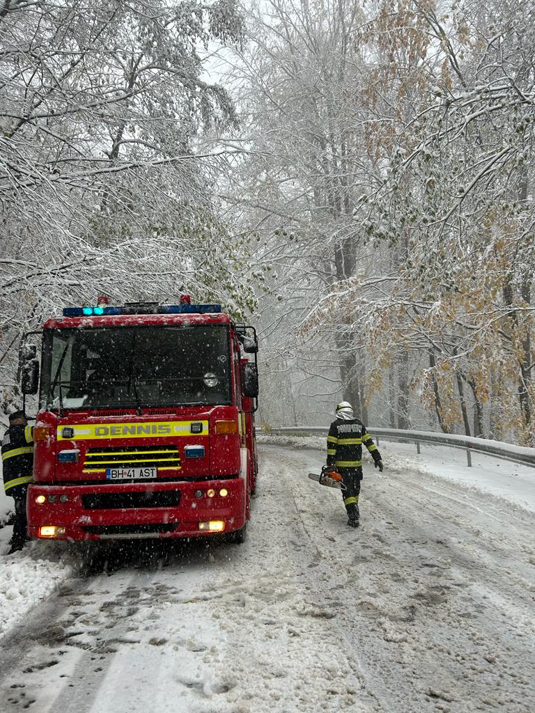 WhatsApp Image 2023-11-20 at 11.39.36