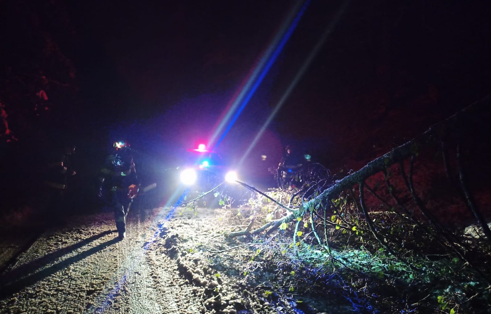 WhatsApp Image 2023-11-20 at 11.39.35