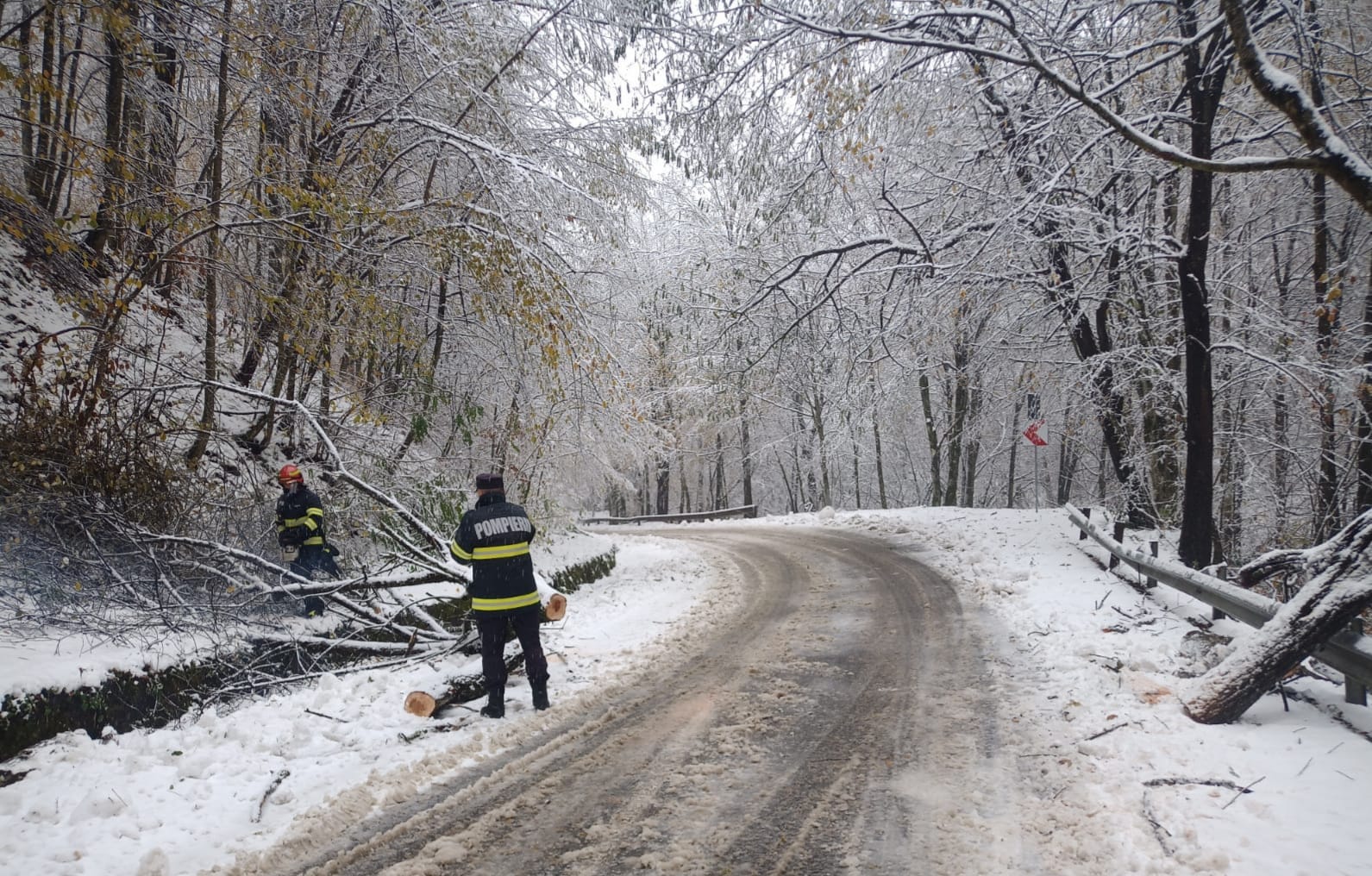 WhatsApp Image 2023-11-20 at 11.39.34