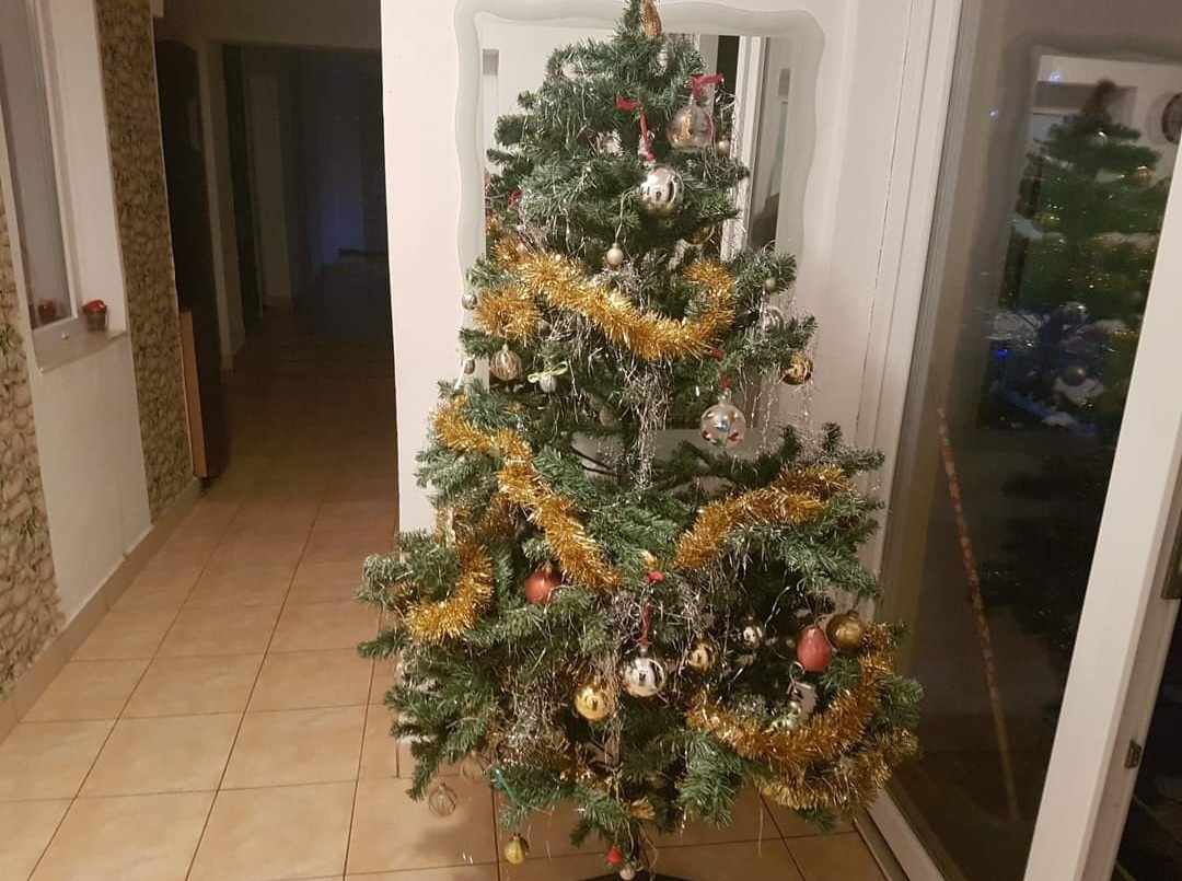 376373320_879840180476660_2645958699357824263_n