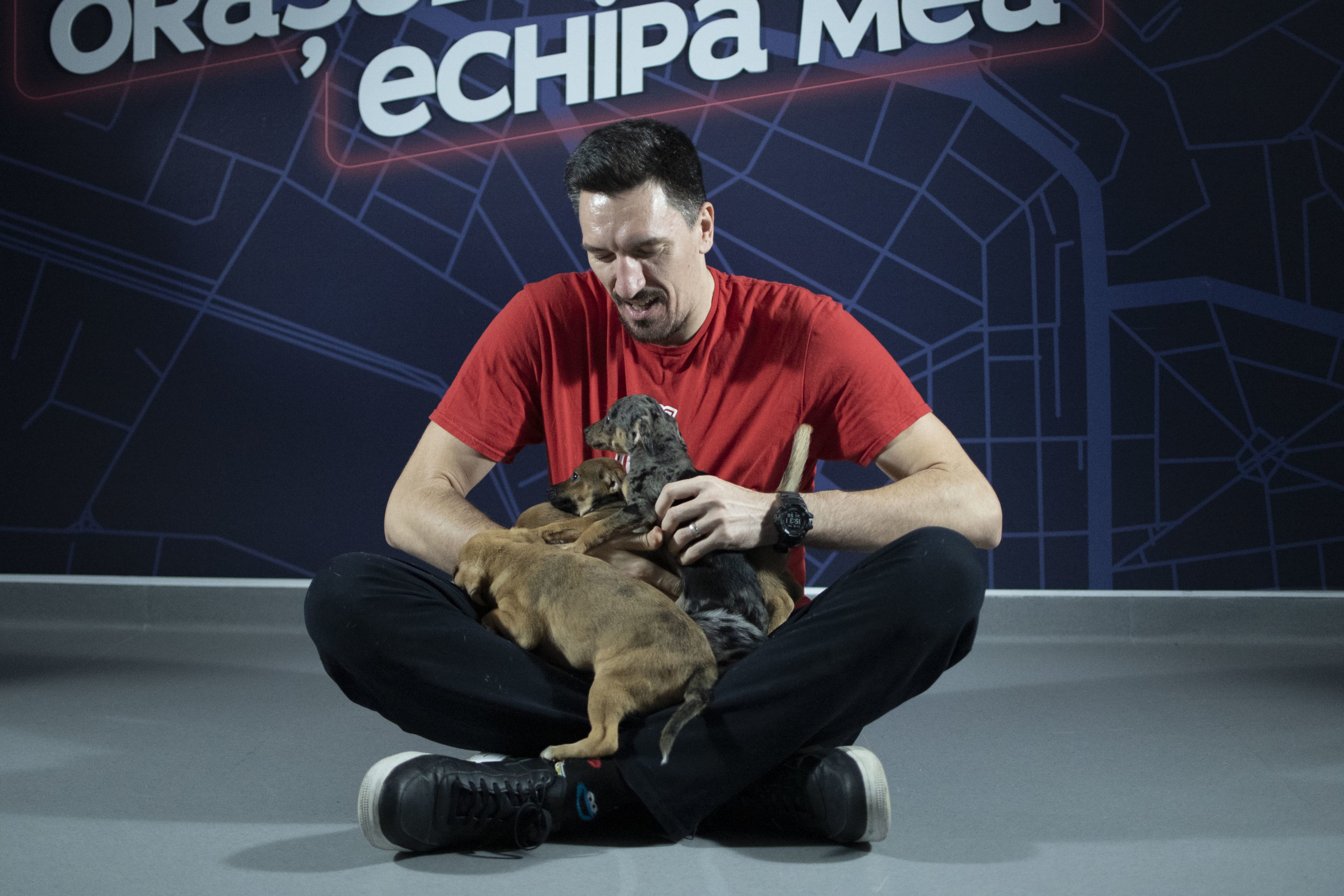 CSM Oradea Adoptă, nu cumpăra (5)