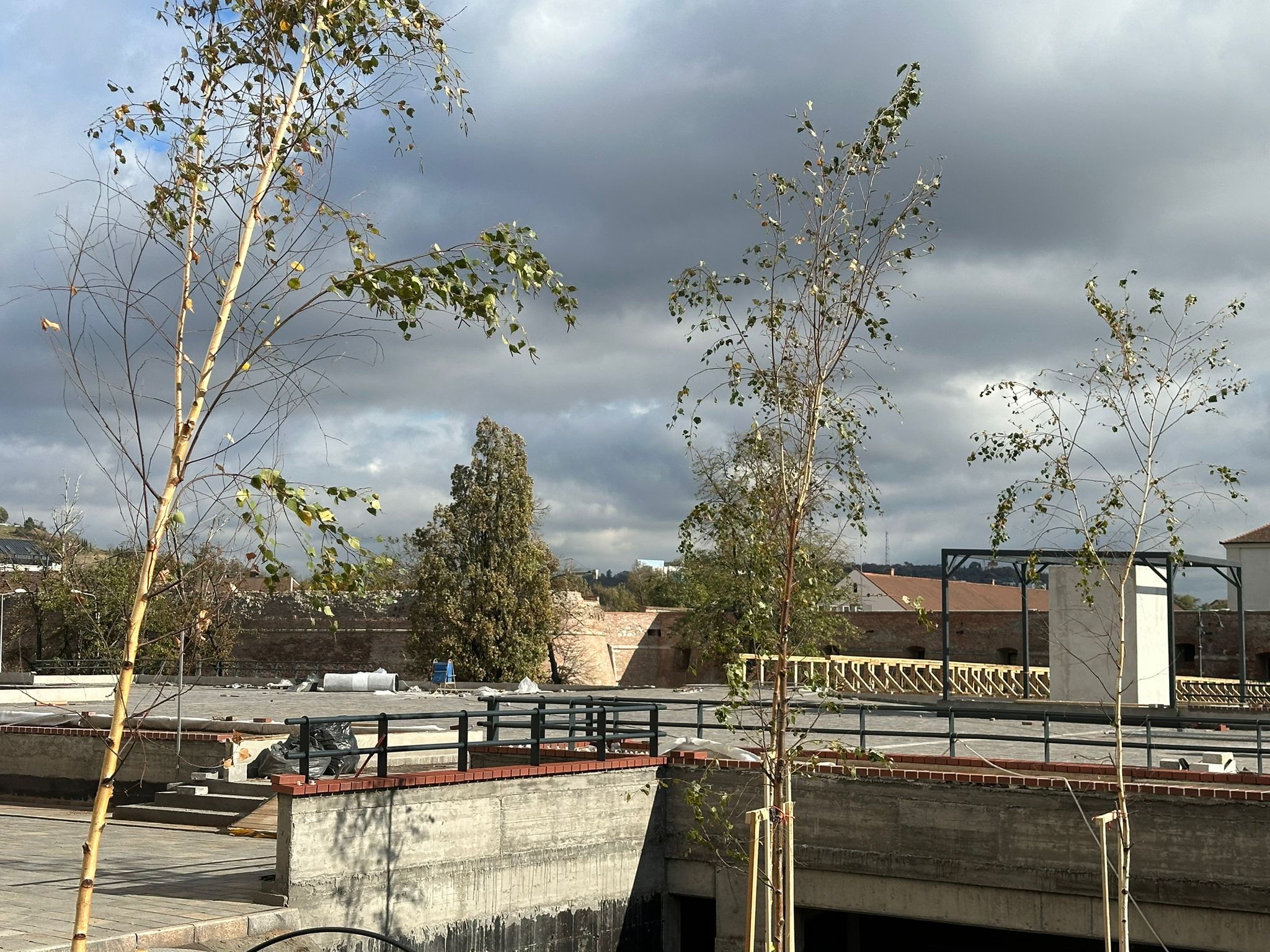 WhatsApp Image 2023-11-01 at 12.57.51