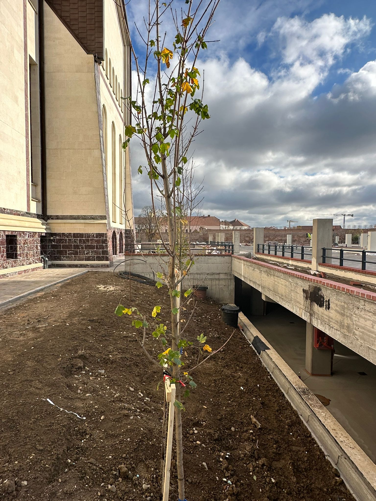 WhatsApp Image 2023-11-01 at 12.57.54 (1)