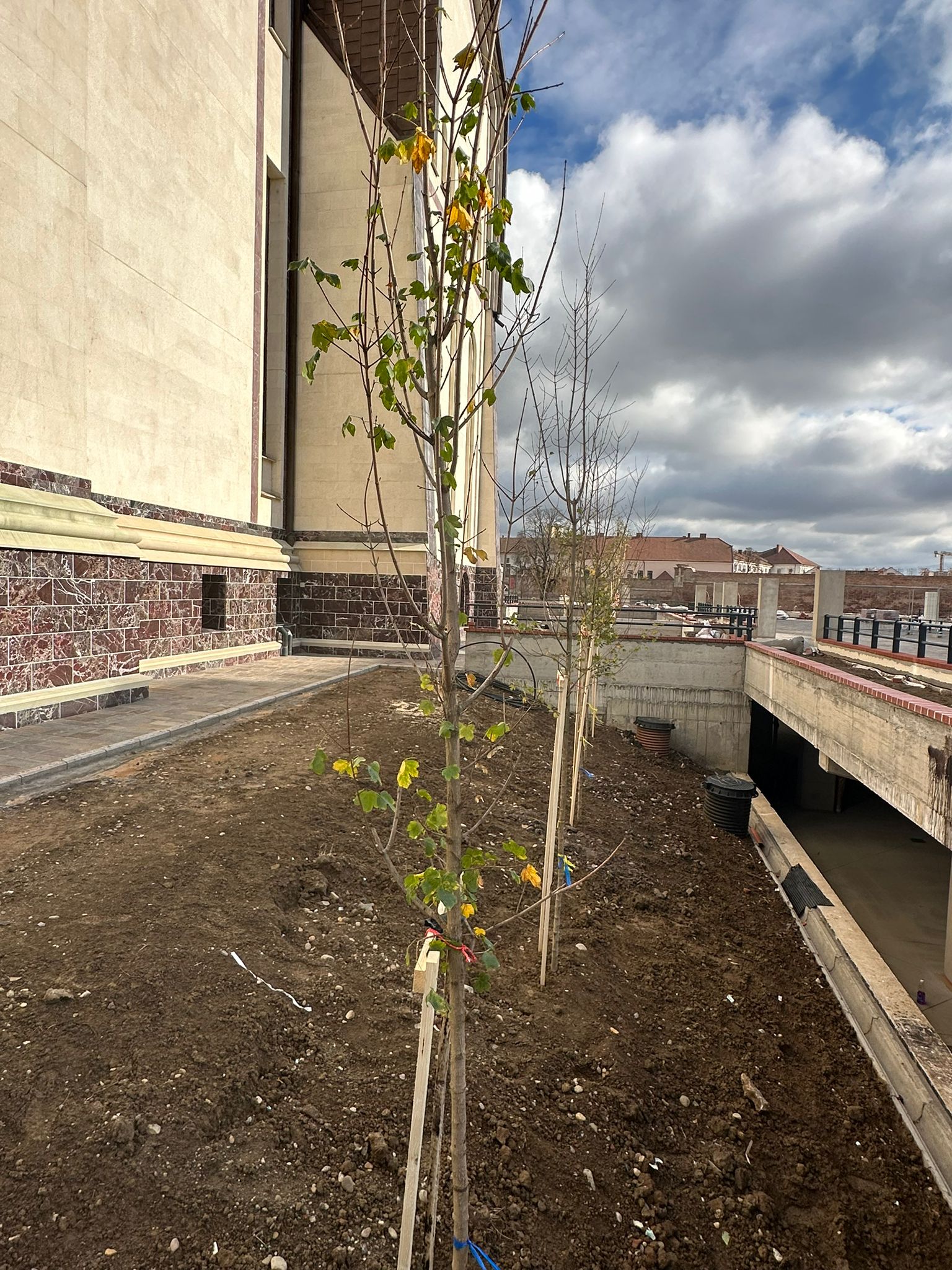 WhatsApp Image 2023-11-01 at 12.57.54