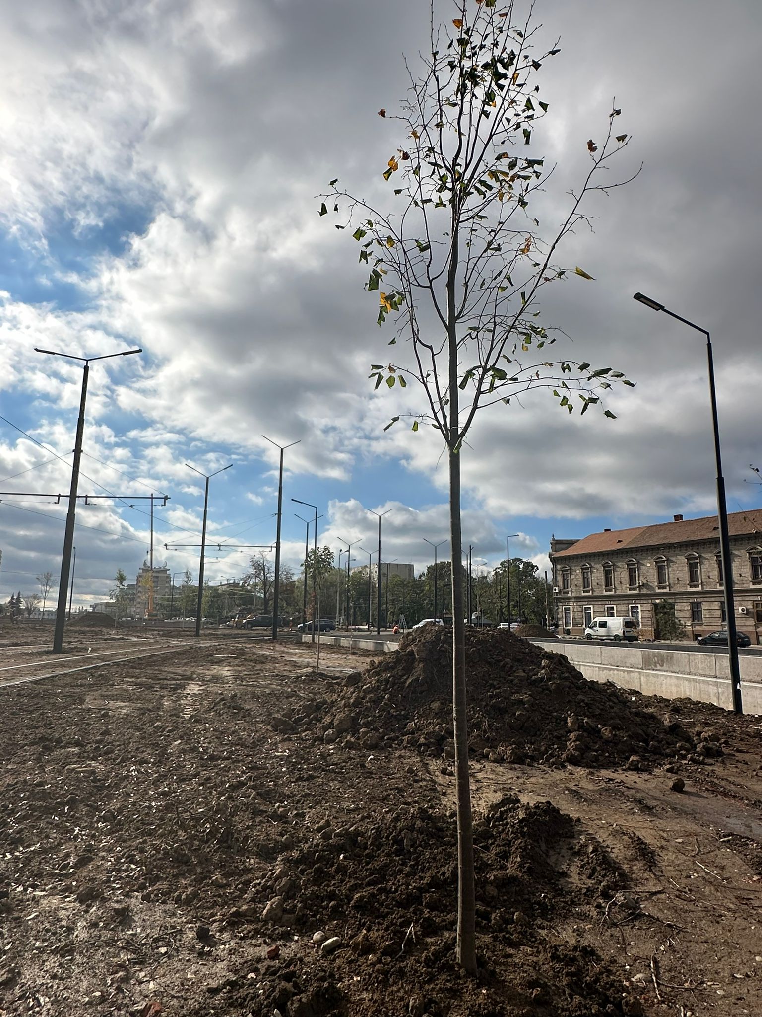 WhatsApp Image 2023-11-01 at 12.57.57