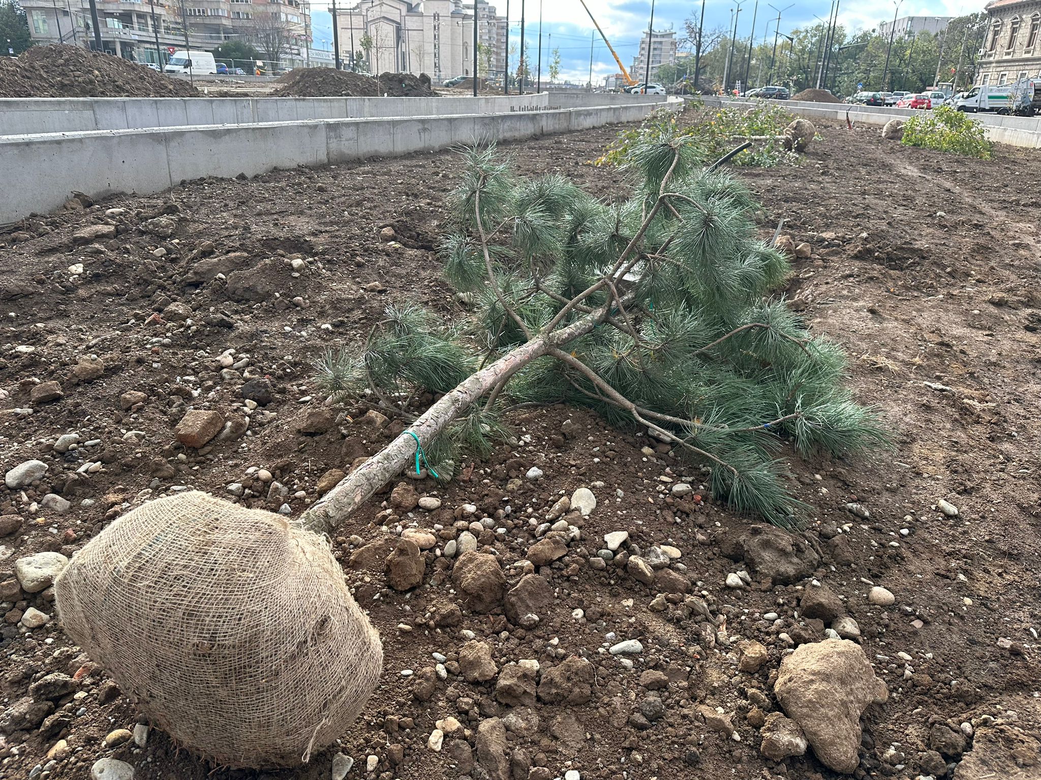 WhatsApp Image 2023-11-01 at 12.58.35 (1)