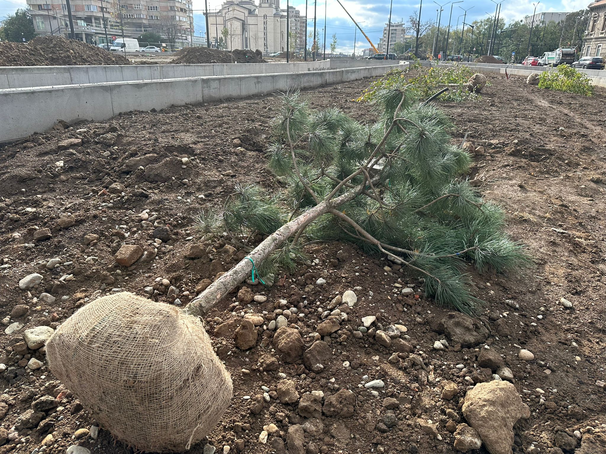 WhatsApp Image 2023-11-01 at 12.58.35