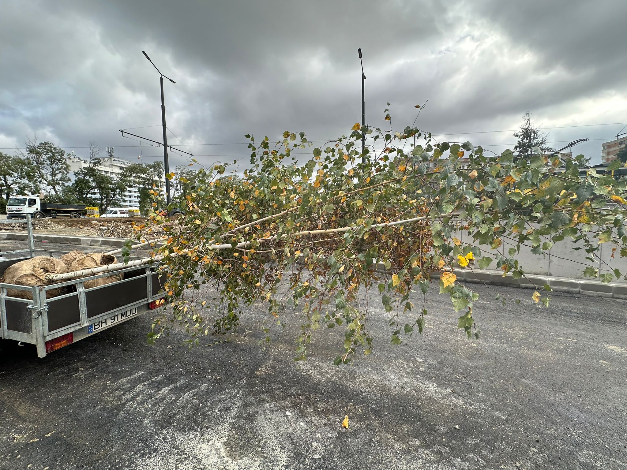 WhatsApp Image 2023-11-01 at 12.58.36 (1)