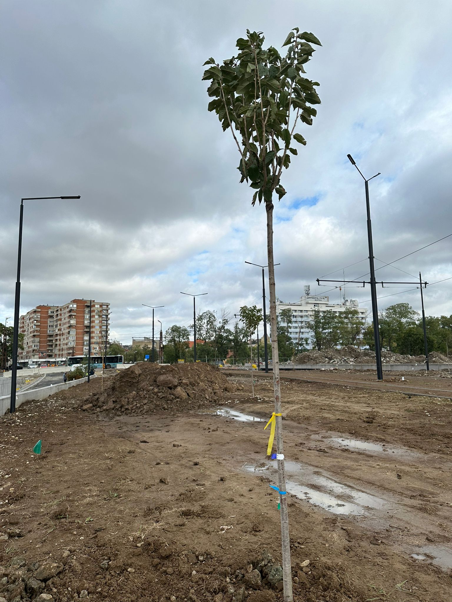 WhatsApp Image 2023-11-01 at 12.58.41 (1)