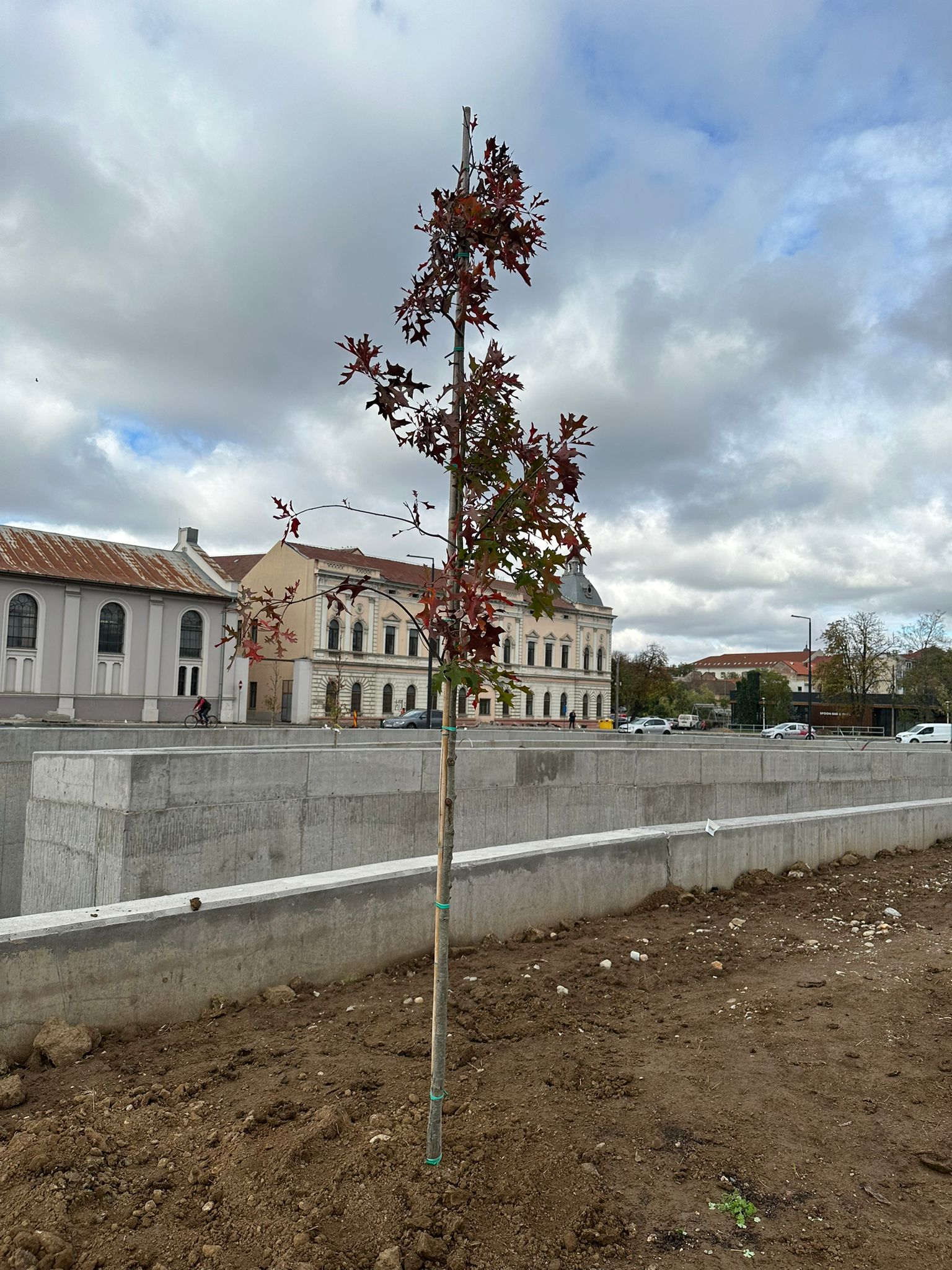 WhatsApp Image 2023-11-01 at 12.58.42