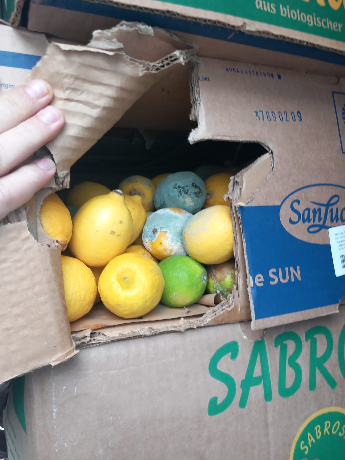 WhatsApp Image 2023-11-03 at 14.05.21 (1)