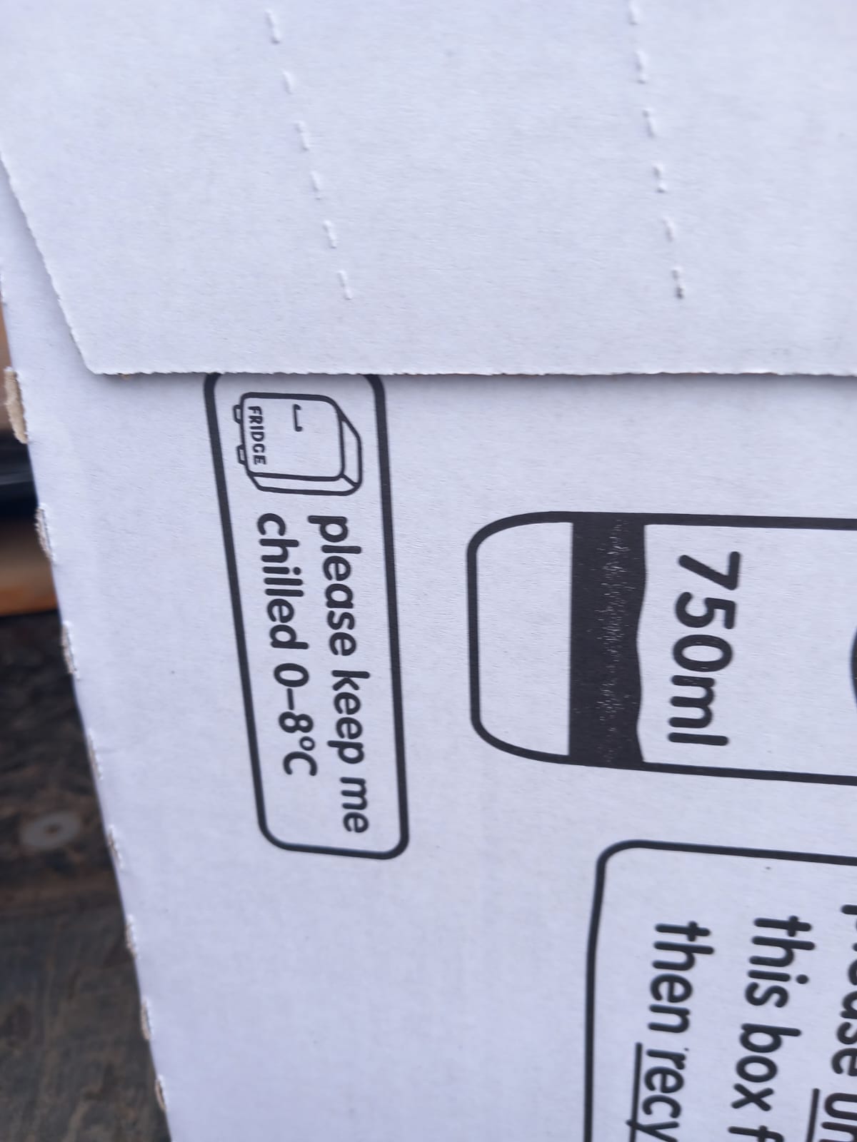 WhatsApp Image 2023-11-03 at 14.05.23 (3)