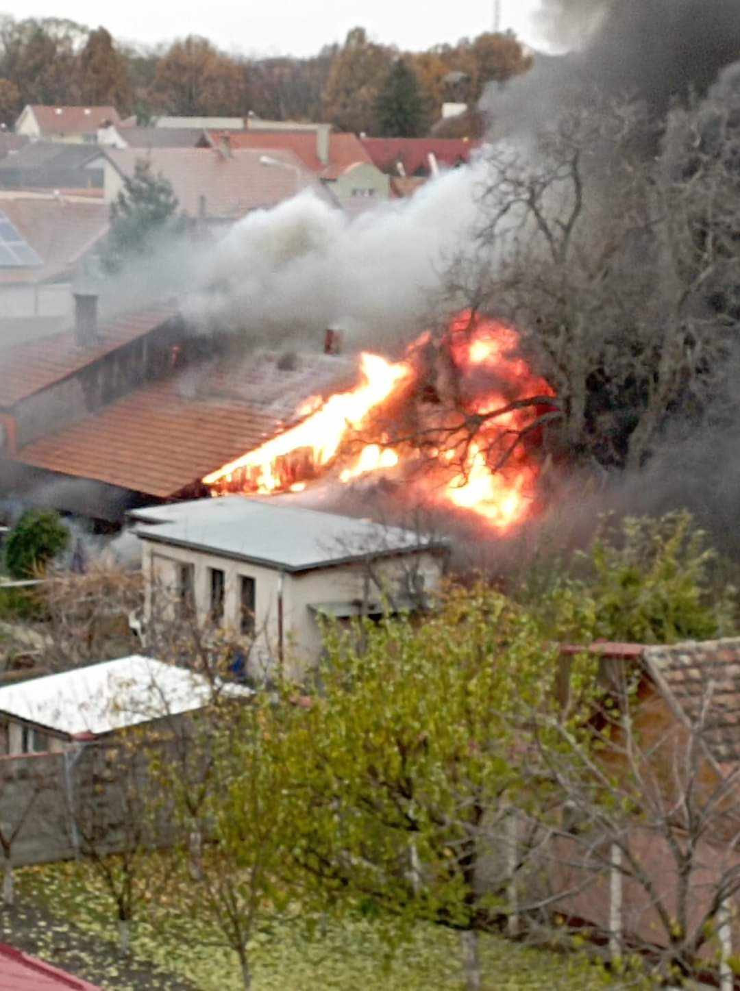 403408264_904912854632340_8996809690898709262_n