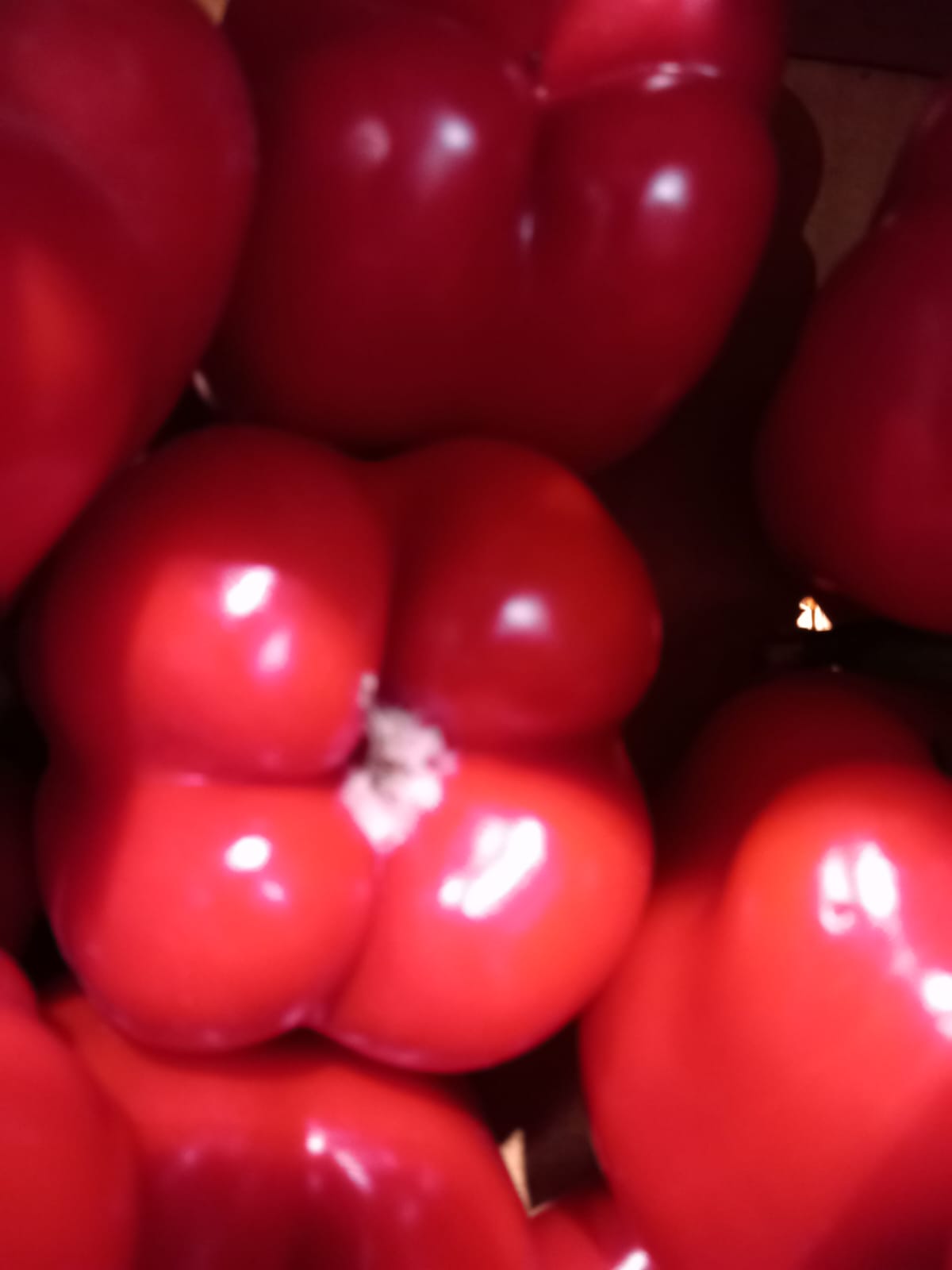 WhatsApp Image 2023-12-11 at 17.13.03 (2)