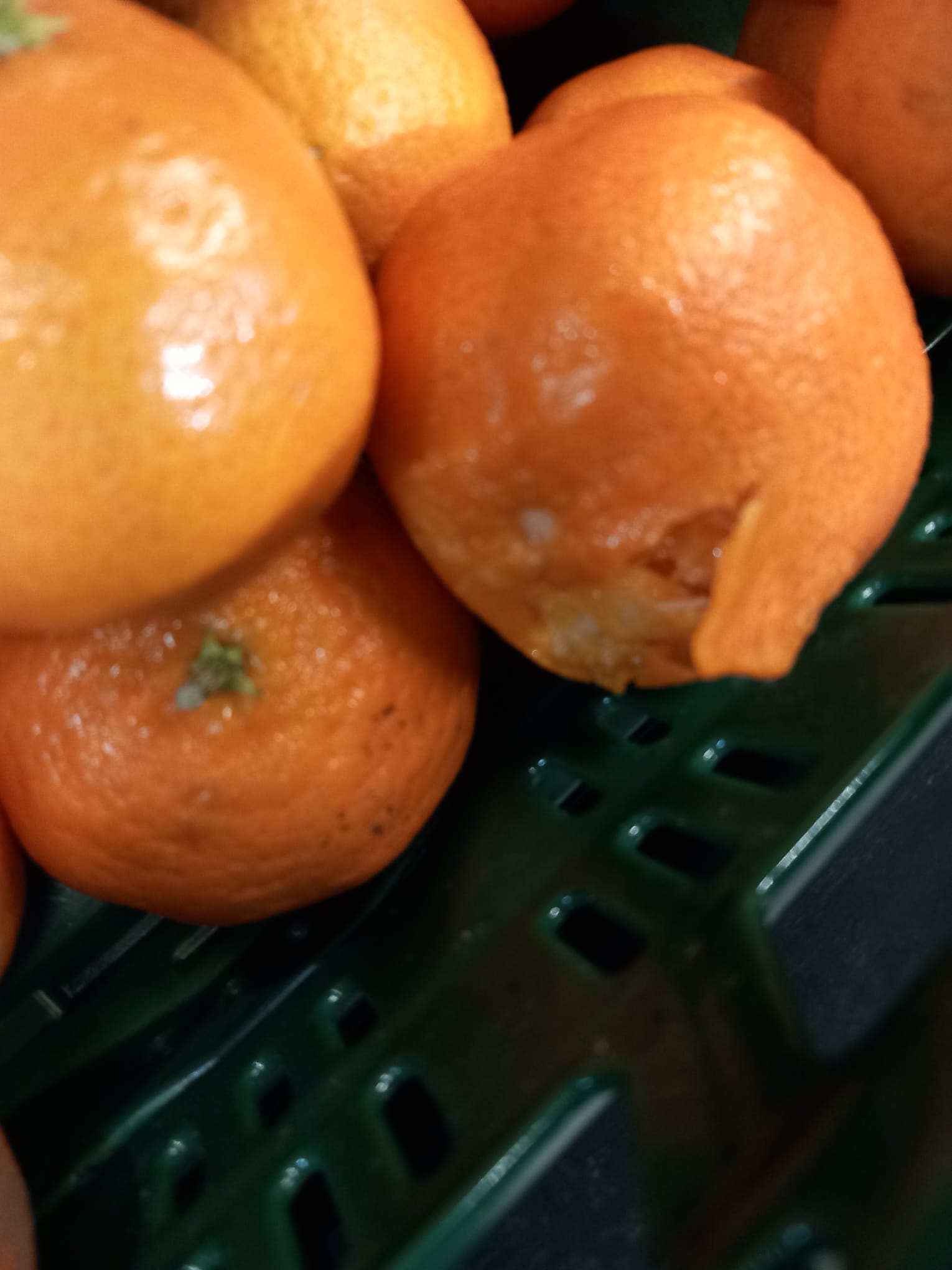 WhatsApp Image 2023-12-11 at 17.13.03 (5)