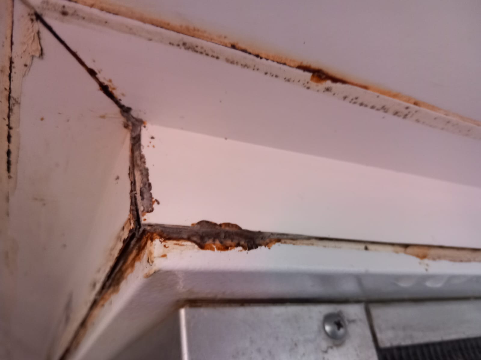 WhatsApp Image 2023-12-11 at 17.13.05 (2)