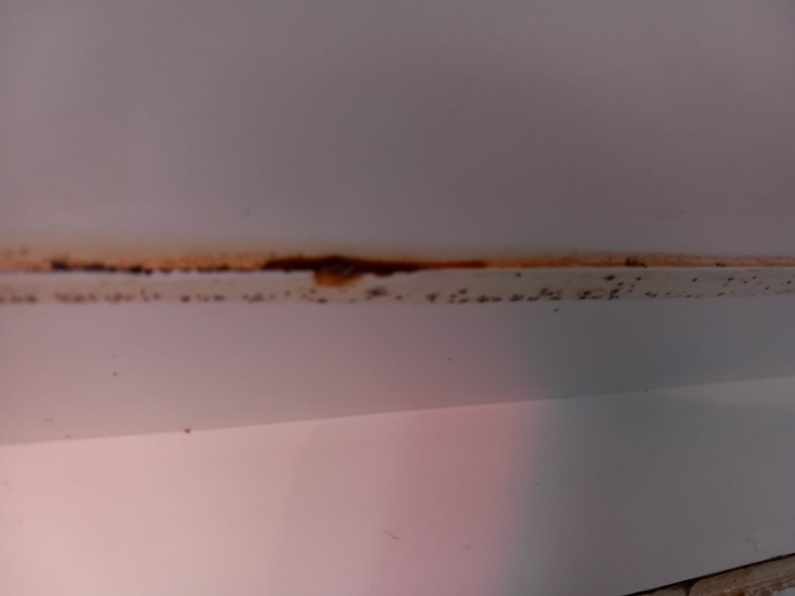 WhatsApp Image 2023-12-11 at 17.13.05 (3)