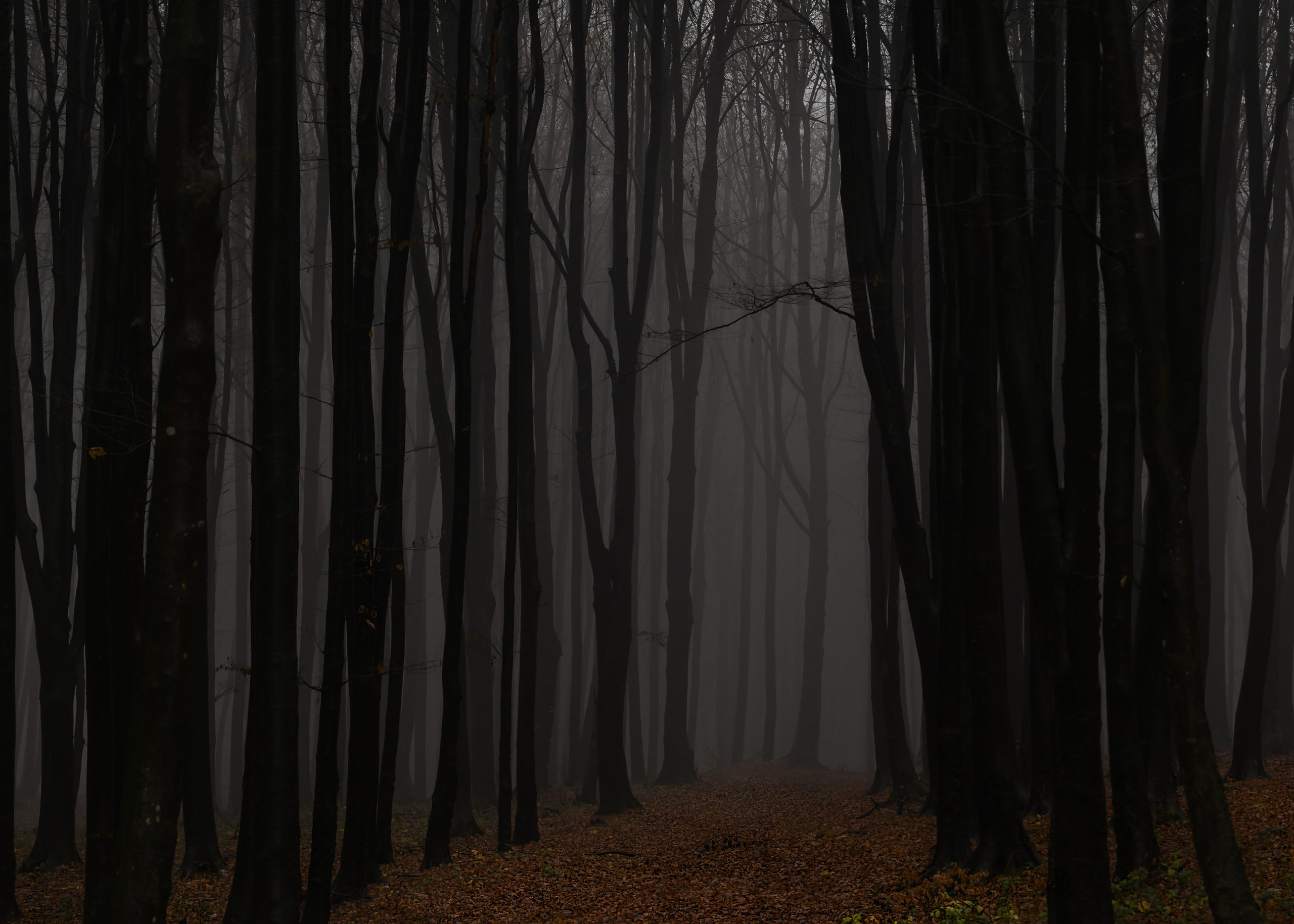 6-Scubli Mariana AFIAP (RO)-Noaptea creste