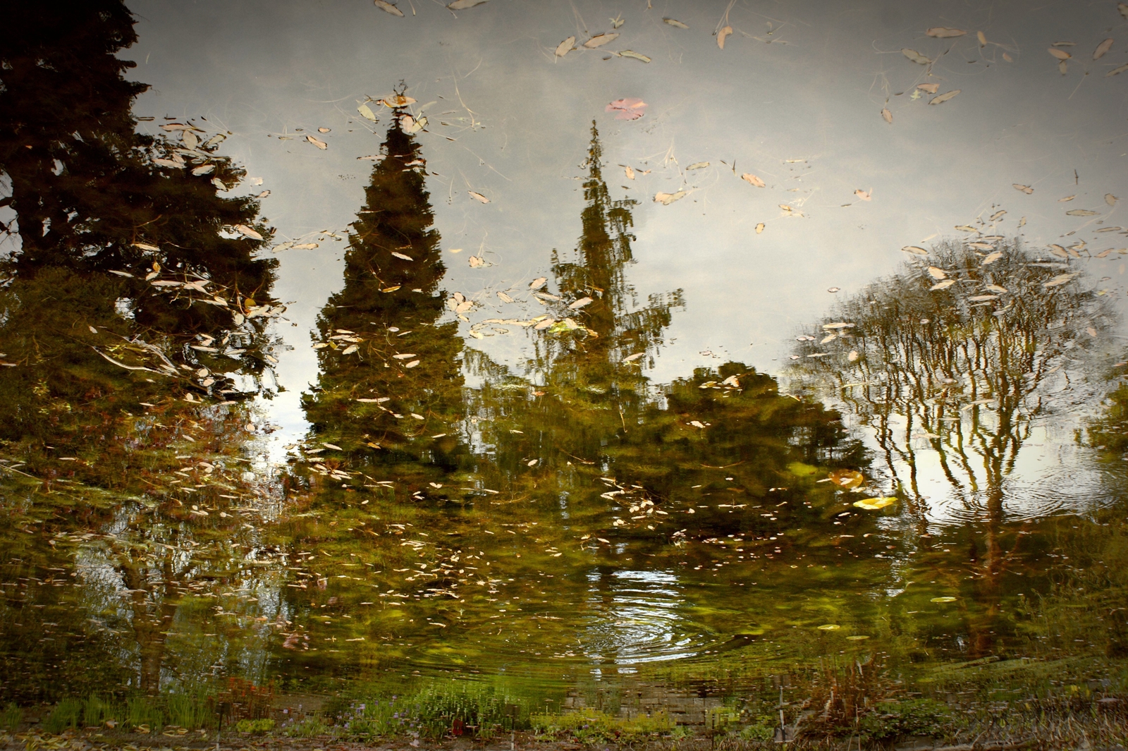 9-Lázár Eszter (MT) - Apa colorată