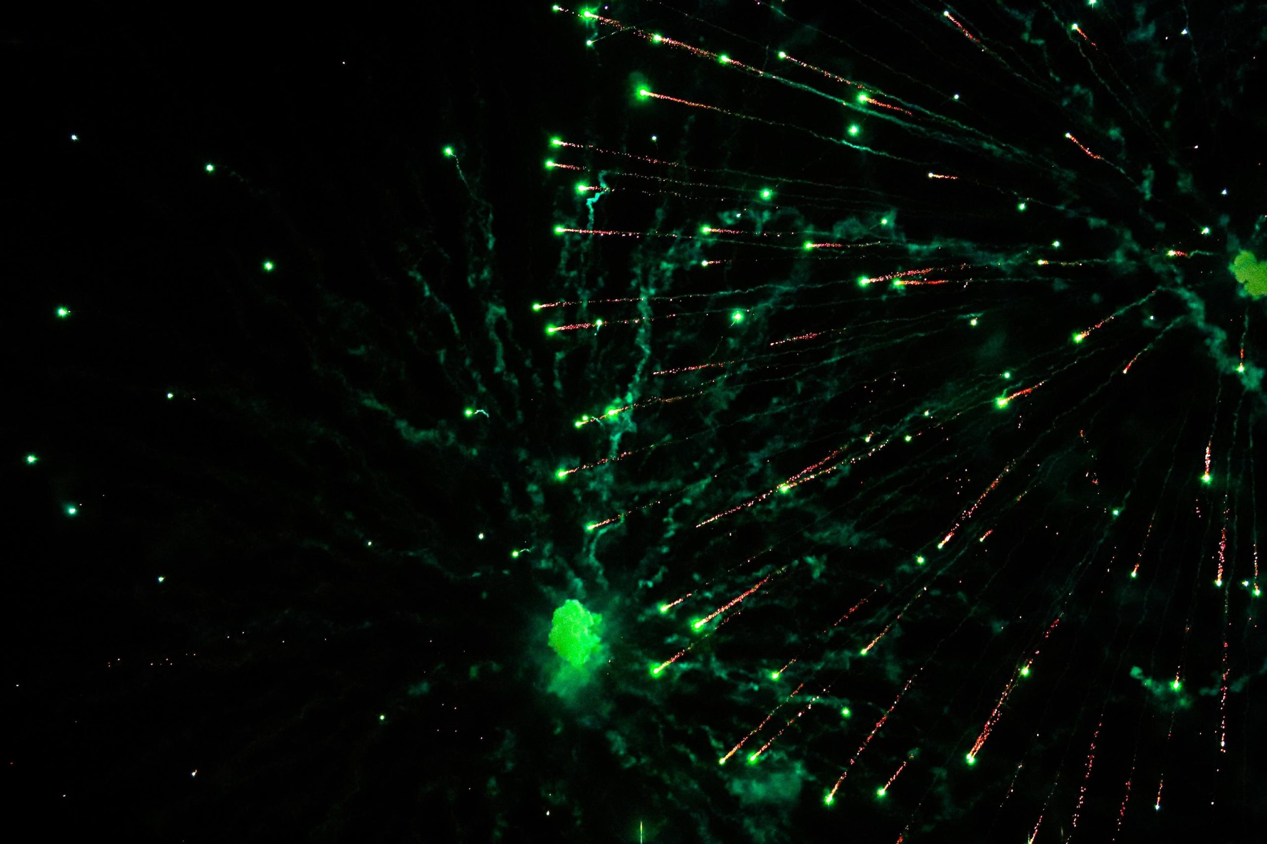 410868552_1091267202057293_1905013013958412451_n