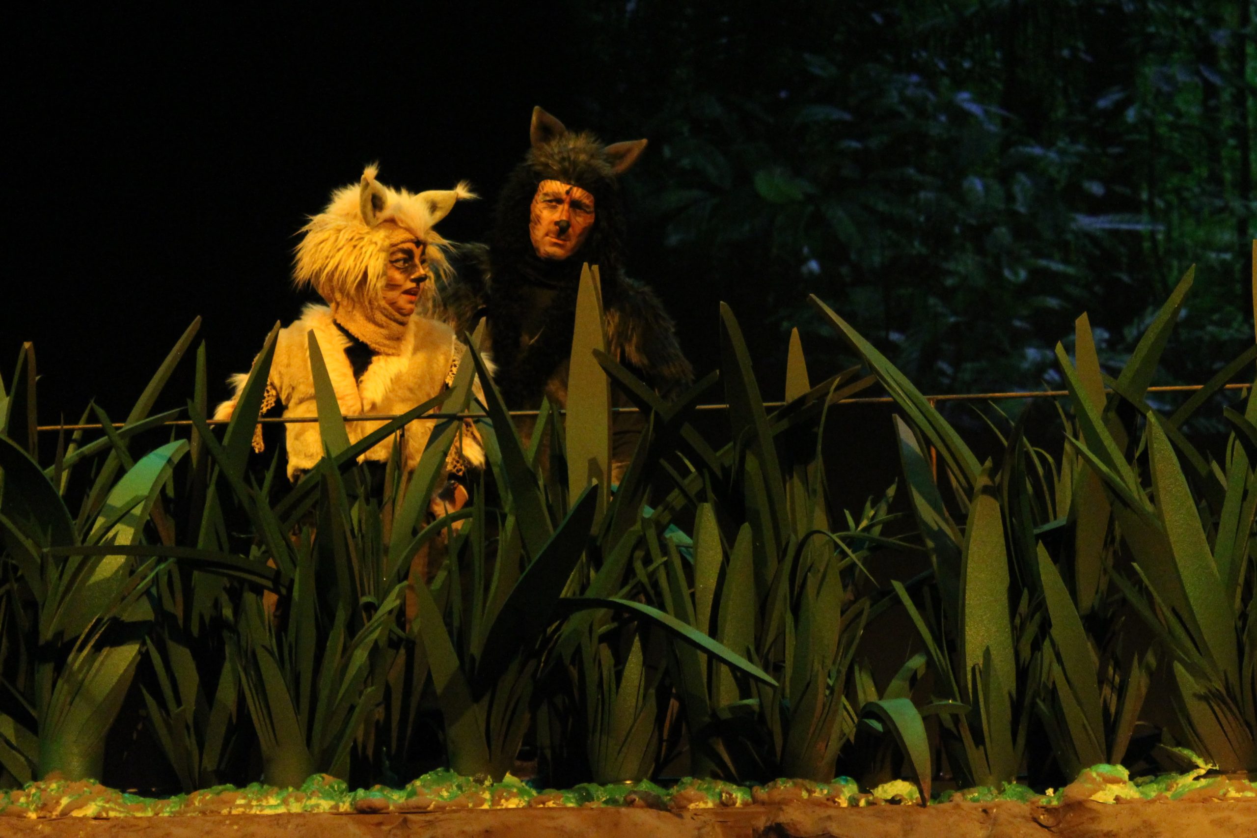 1Cartea junglemedalion2i